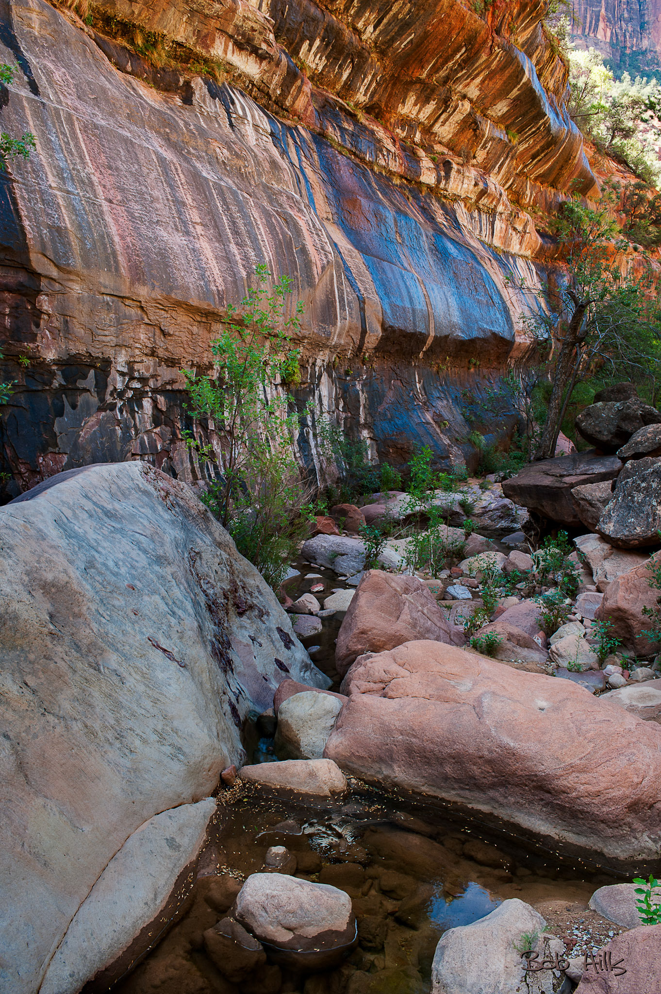 Zion