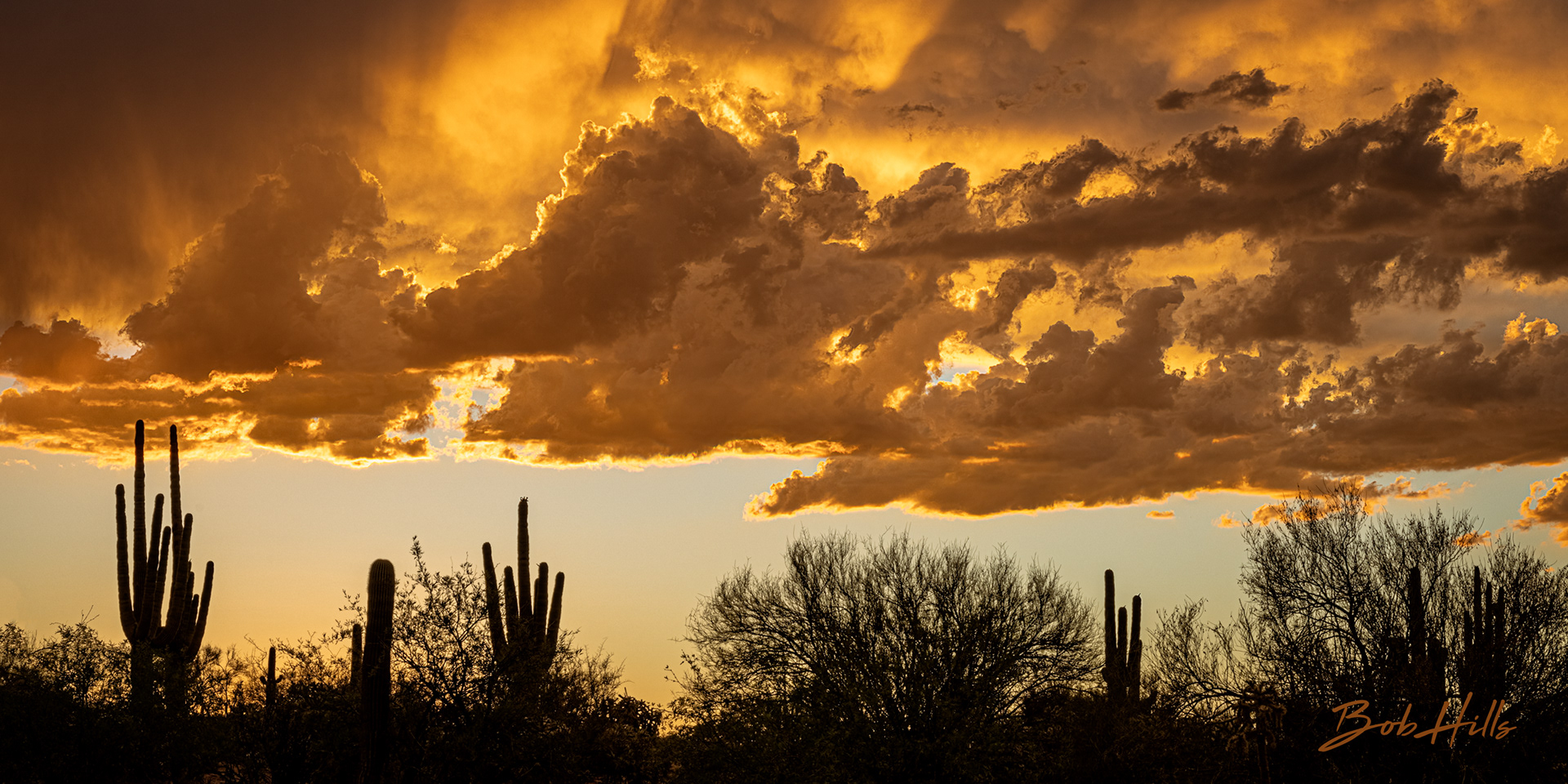 Roadside Sunset