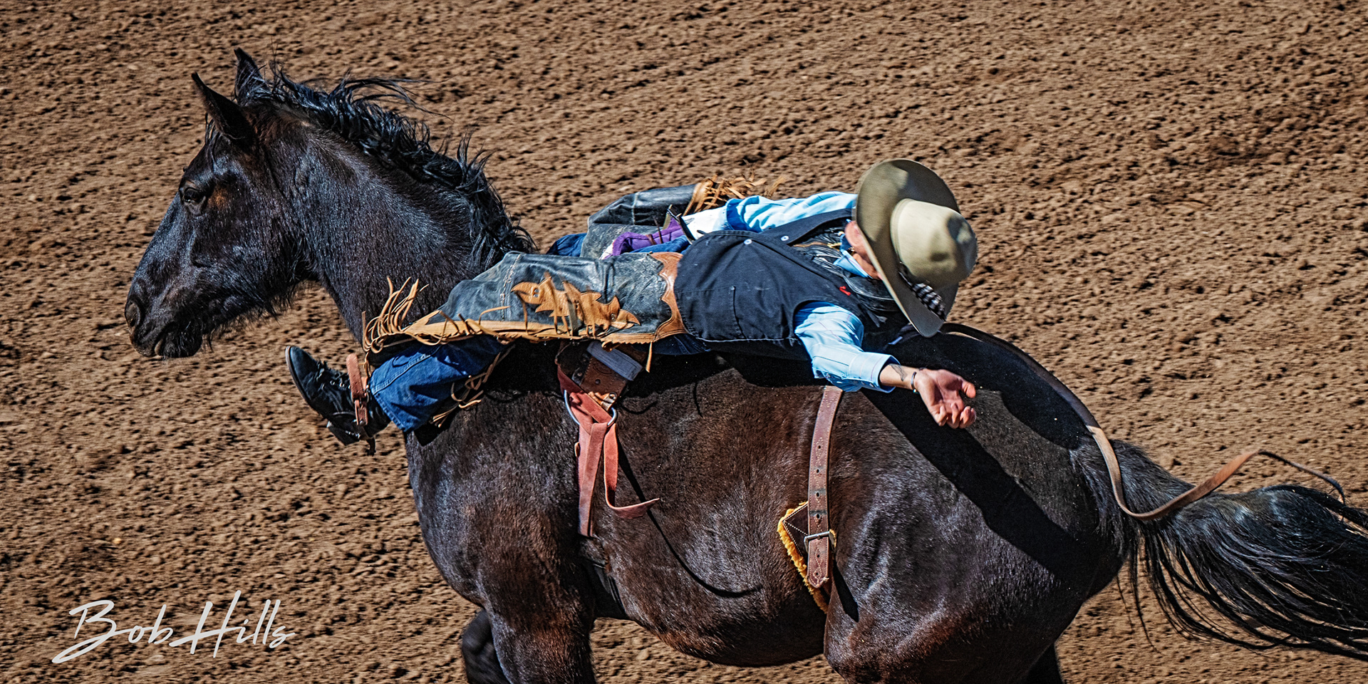Rodeo - 10