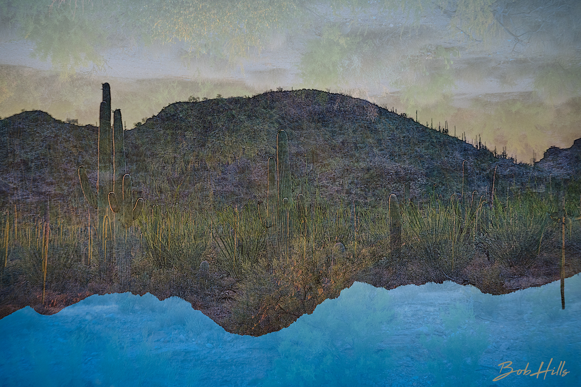 Desert Inversions 5293