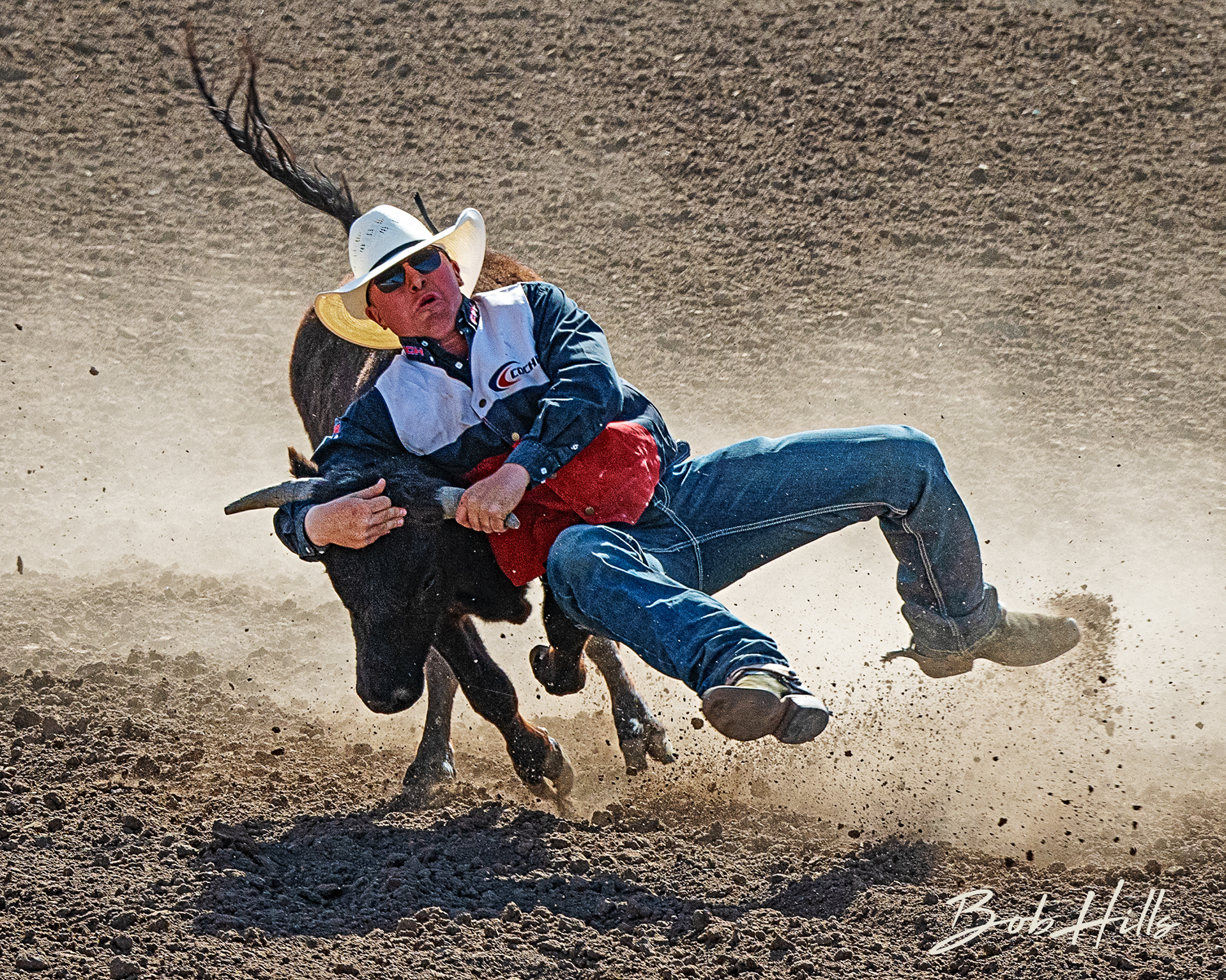 Rodeo - 15