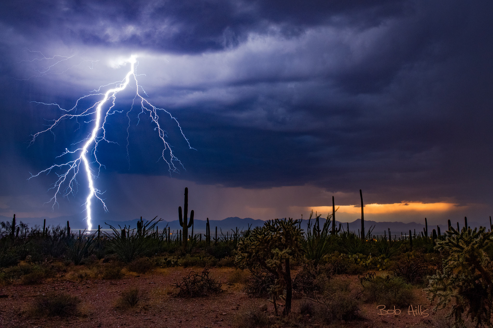 Saguaro Park Lightning 5