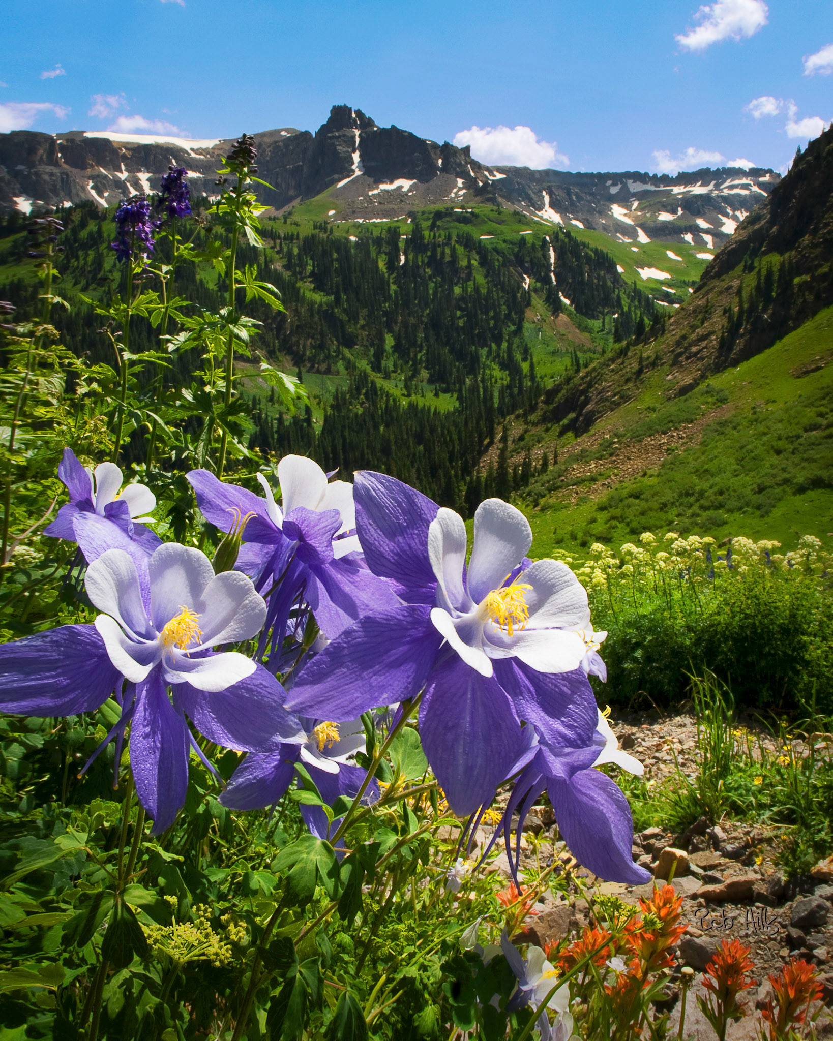 Yankee Boy Columbine