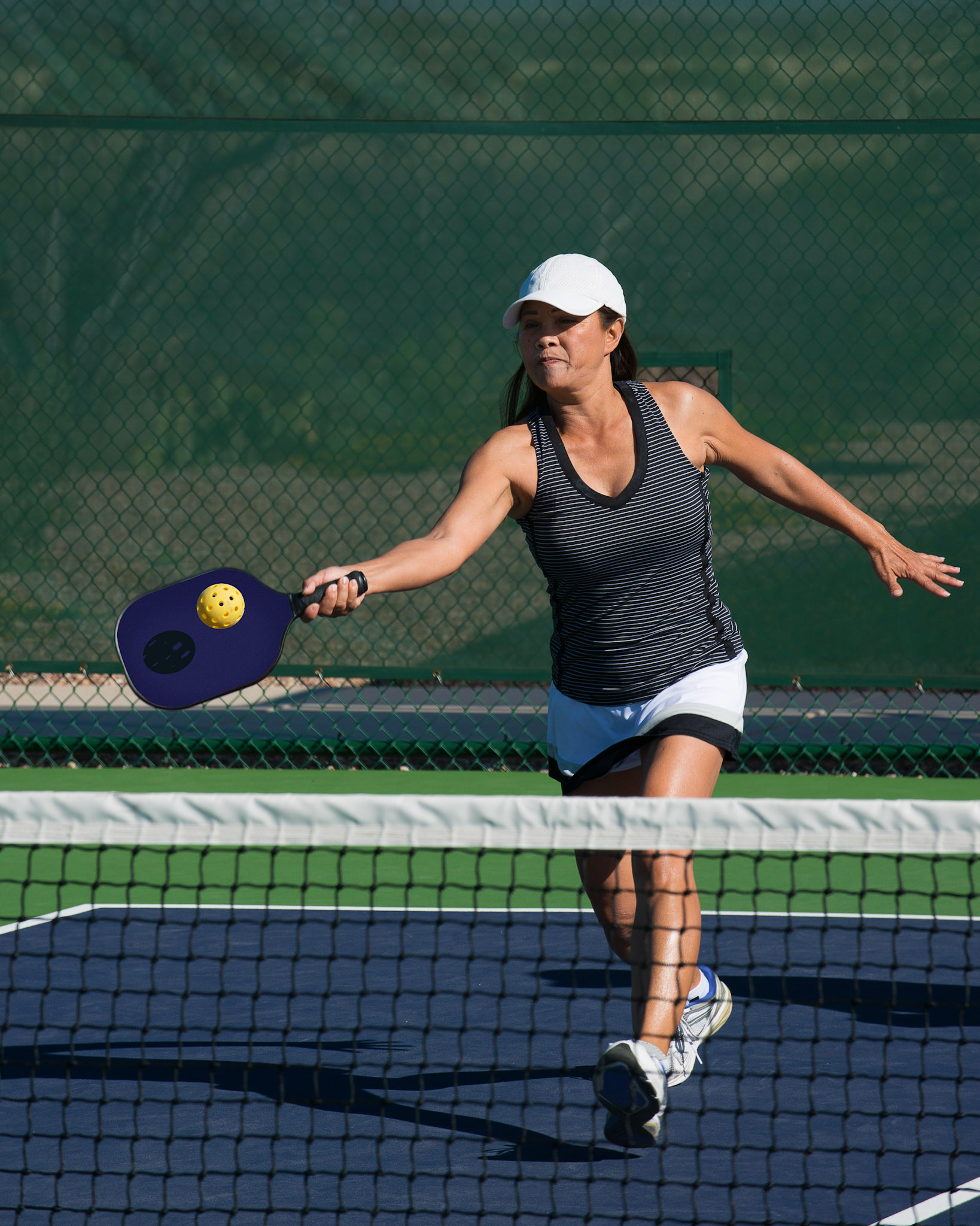 Pickleball Return 2