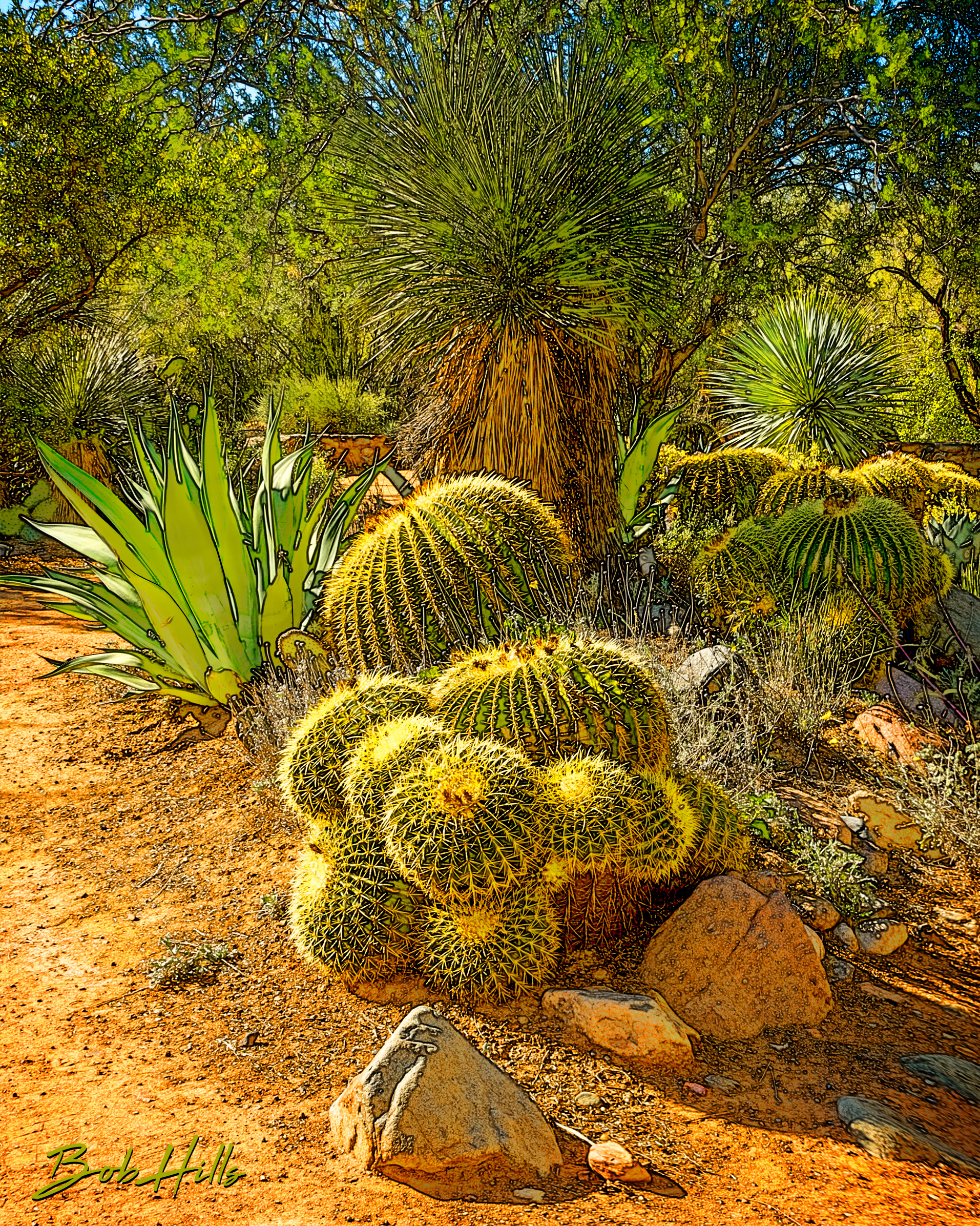 Sonoran Garden - 46
