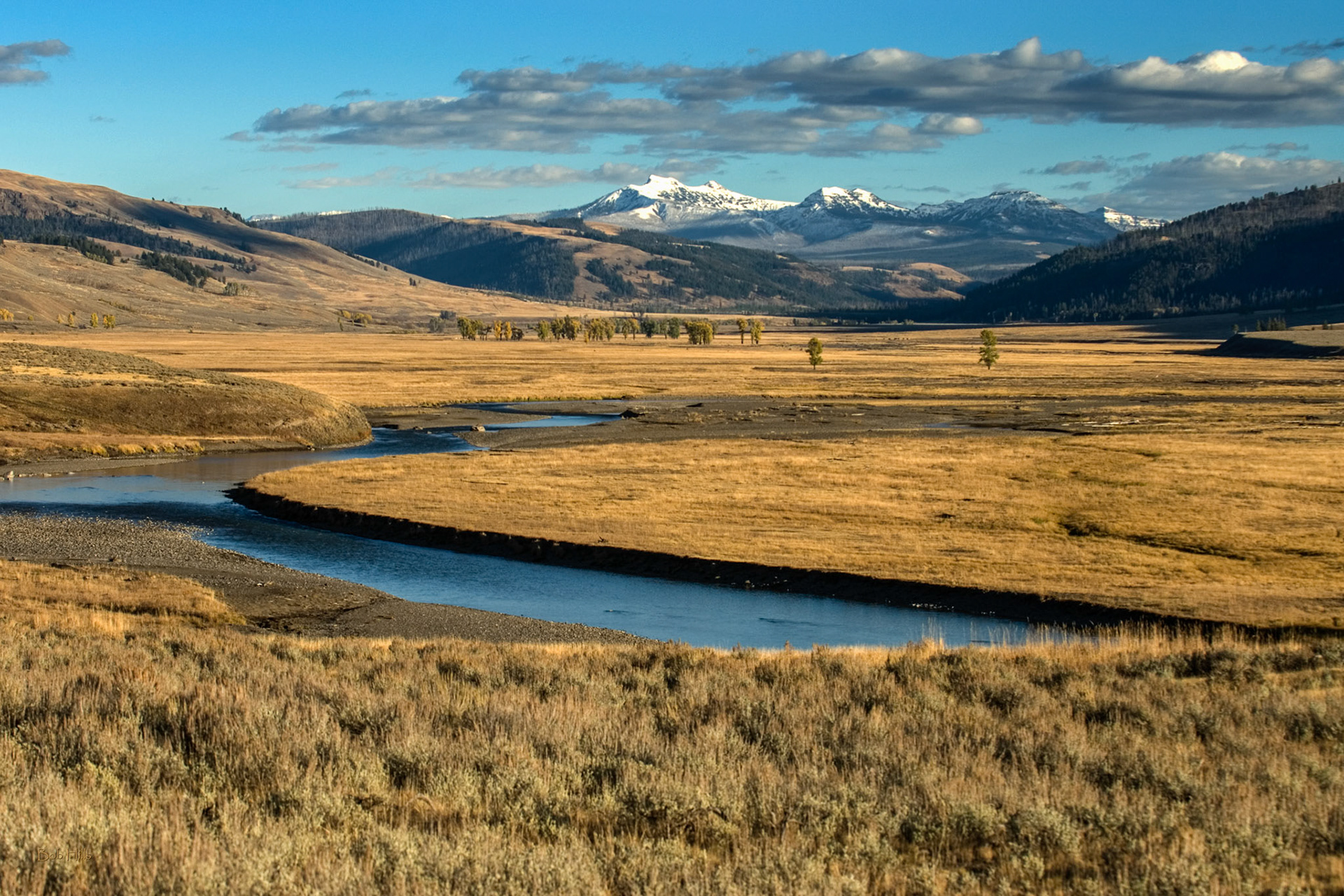Yellowstone