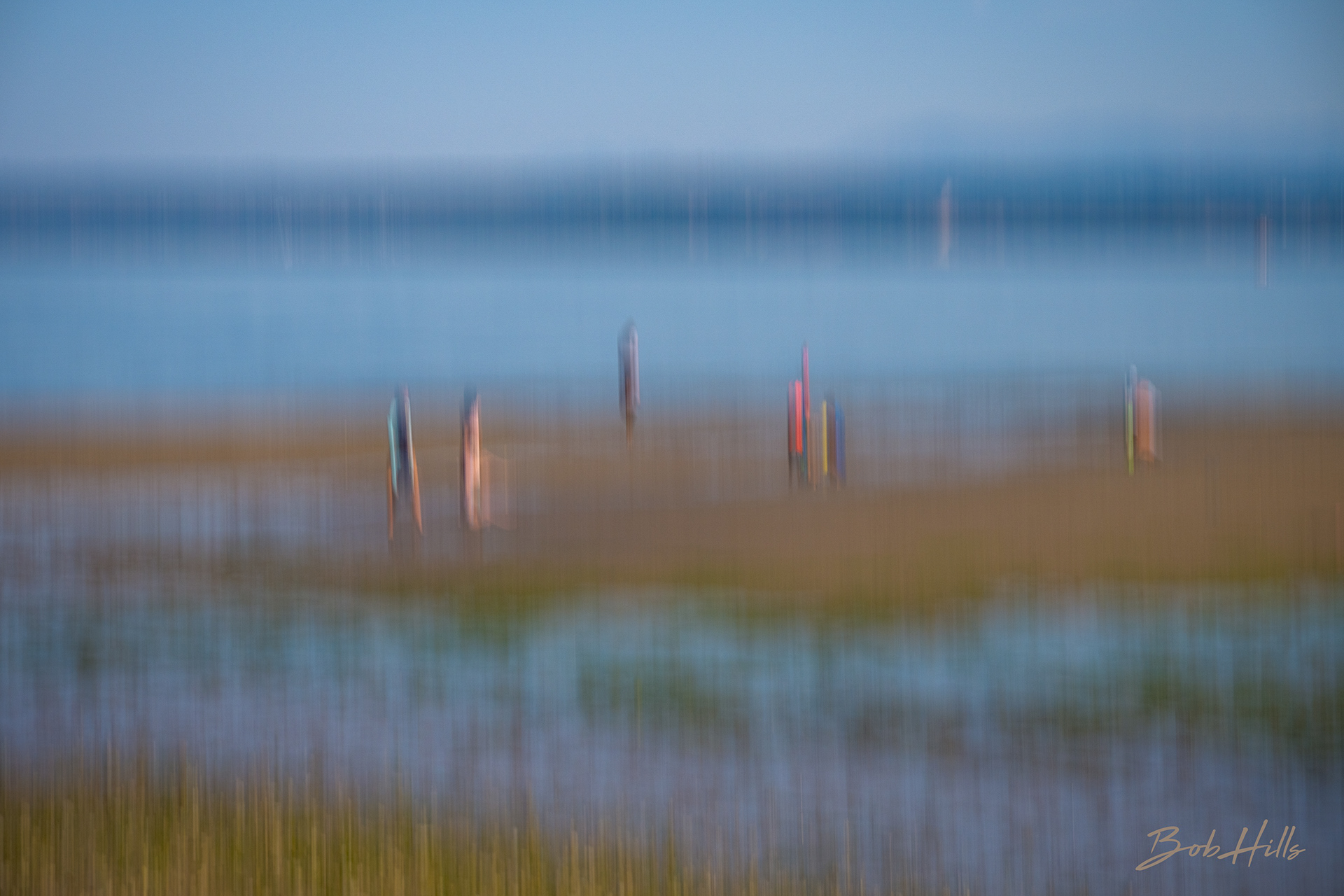 Shoreline Explorers 12