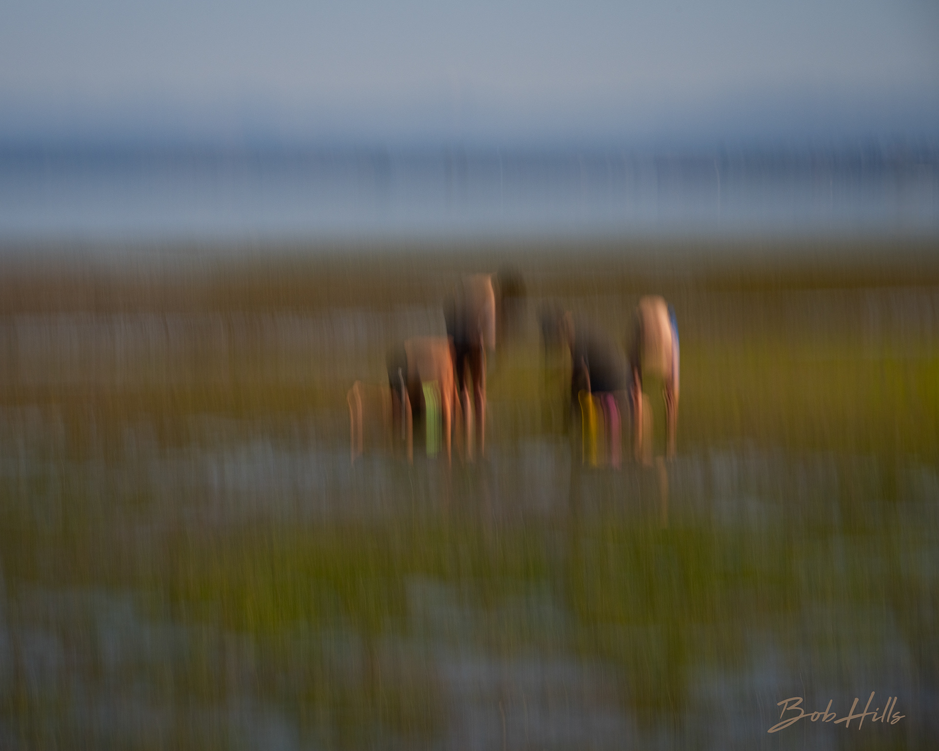 Shoreline Explorers 2