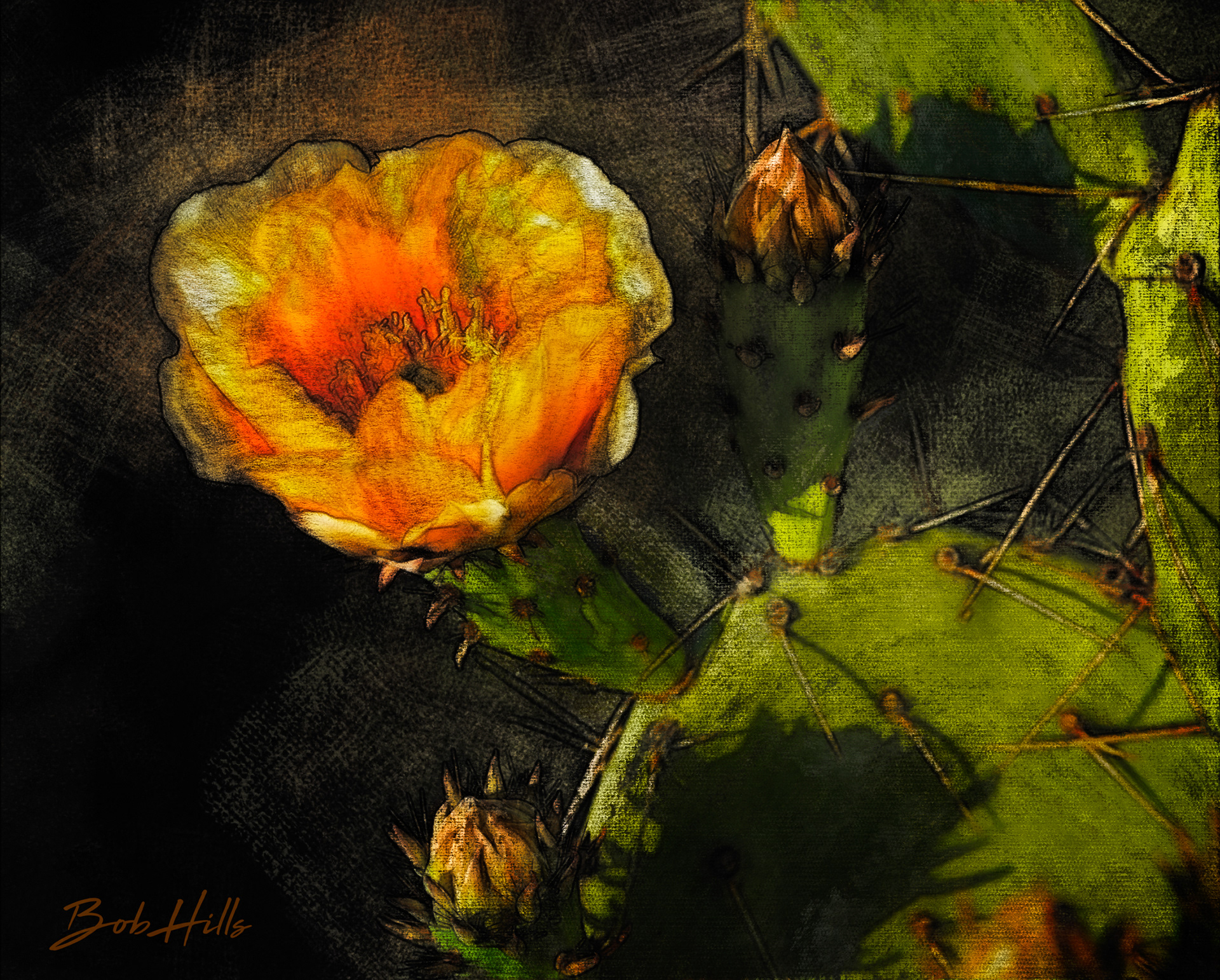 Superstition Prickly Pear