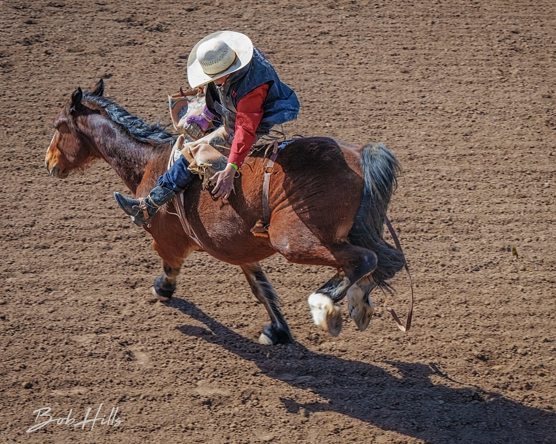 Rodeo - 7