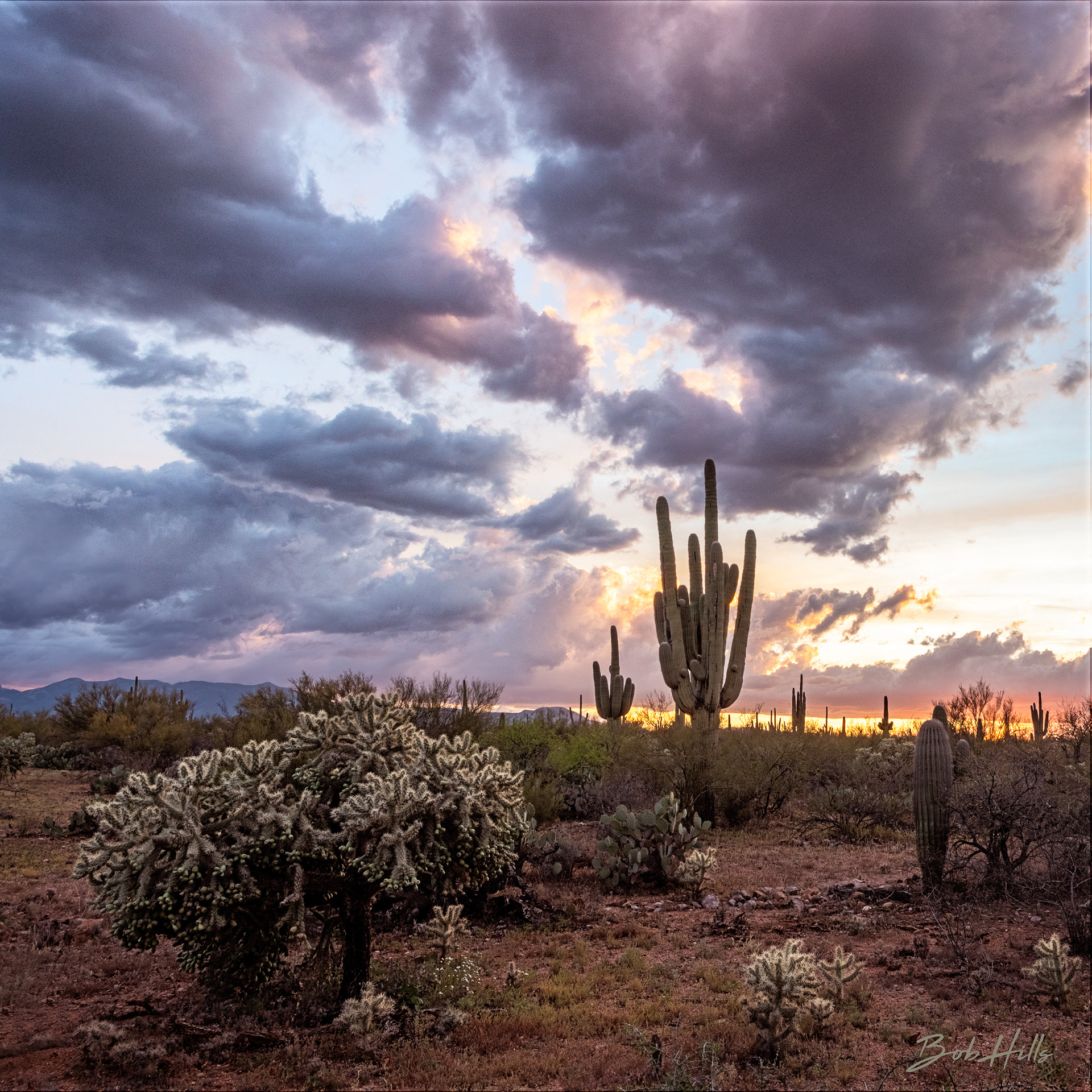 Clouds at Sunset