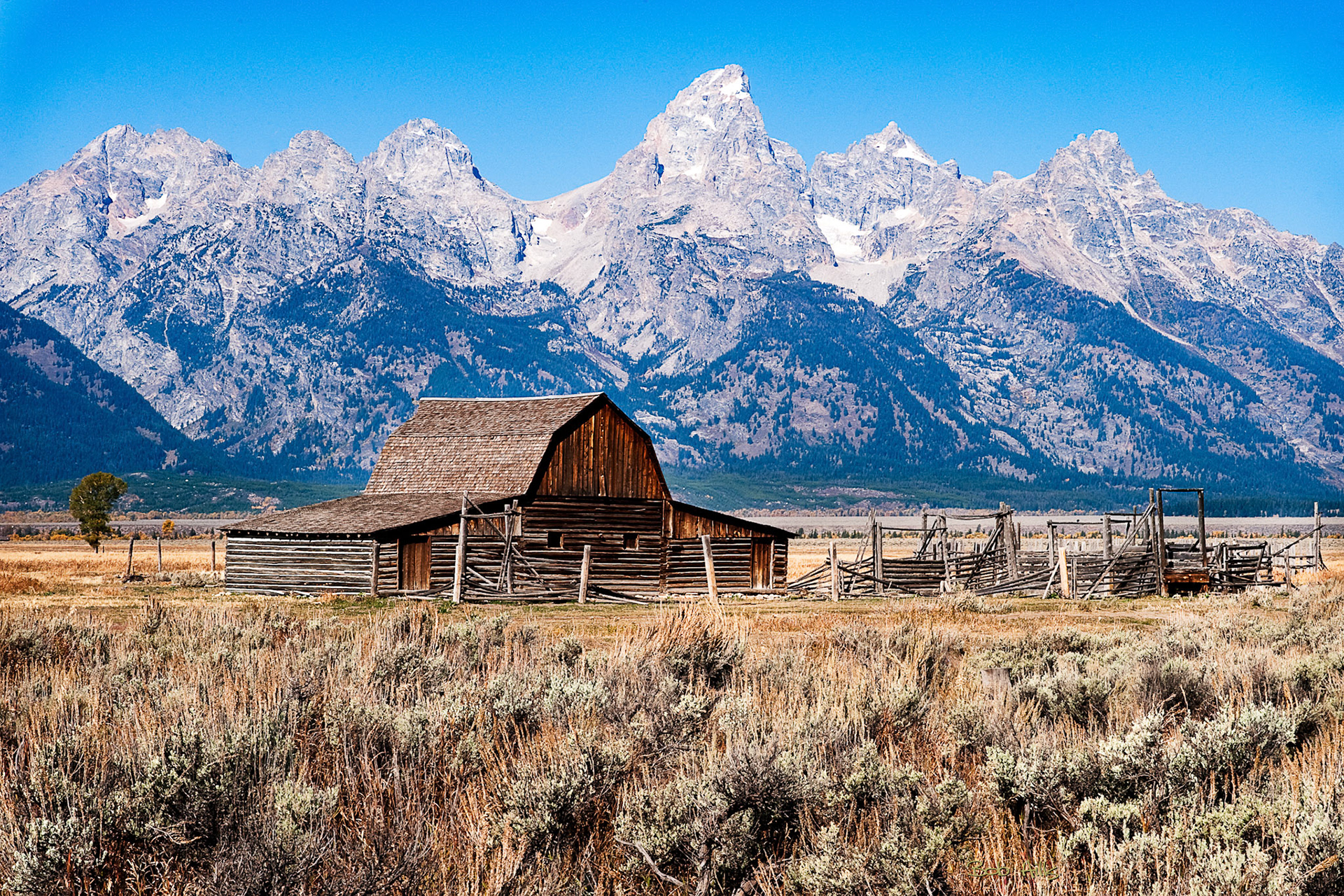 Grand Teton