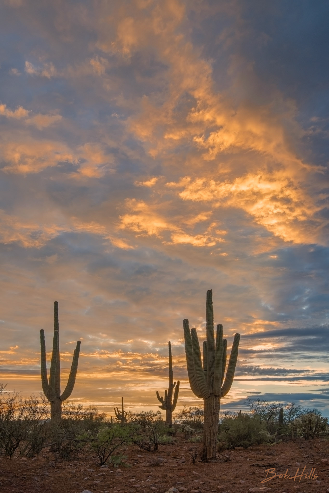 Bright Sunset Near San Manuel