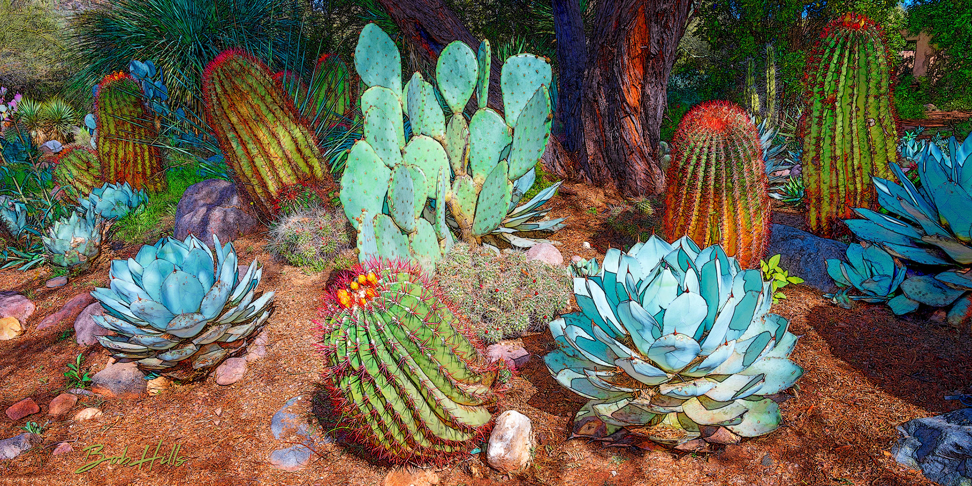 Sonoran Garden - 6