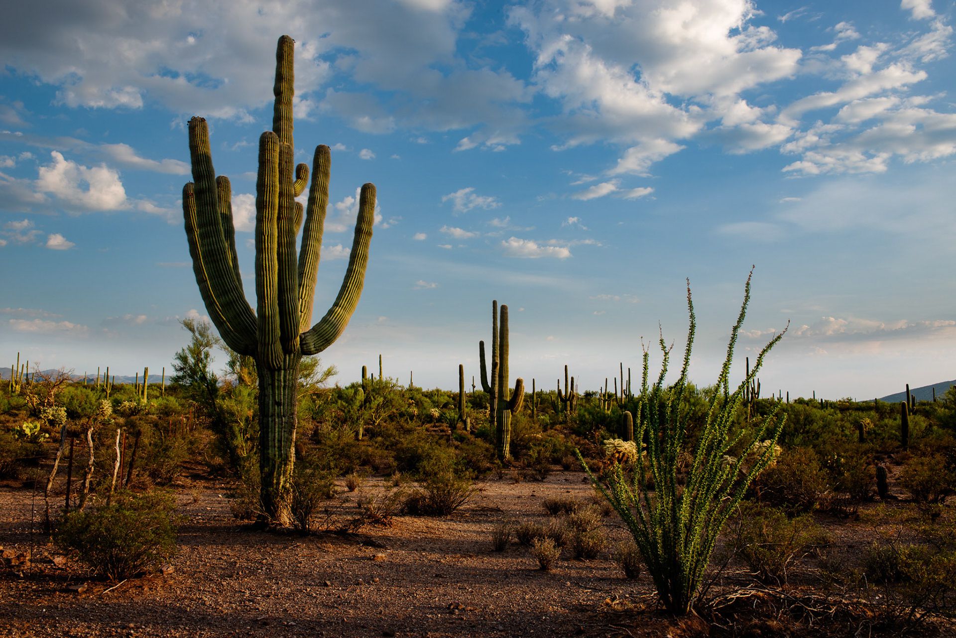 Near Olsen Wash on Rt. 79