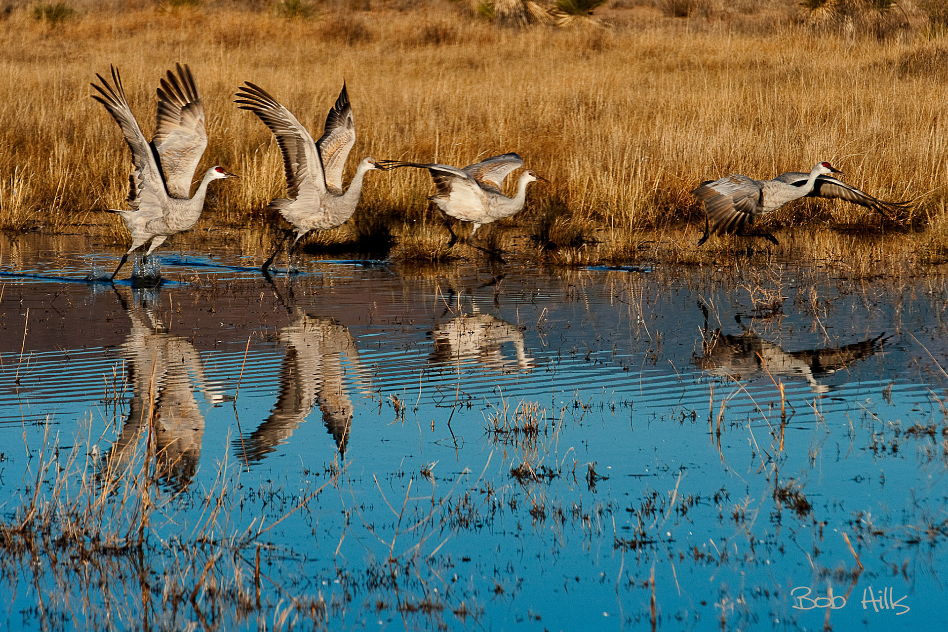 Four Off For The Day