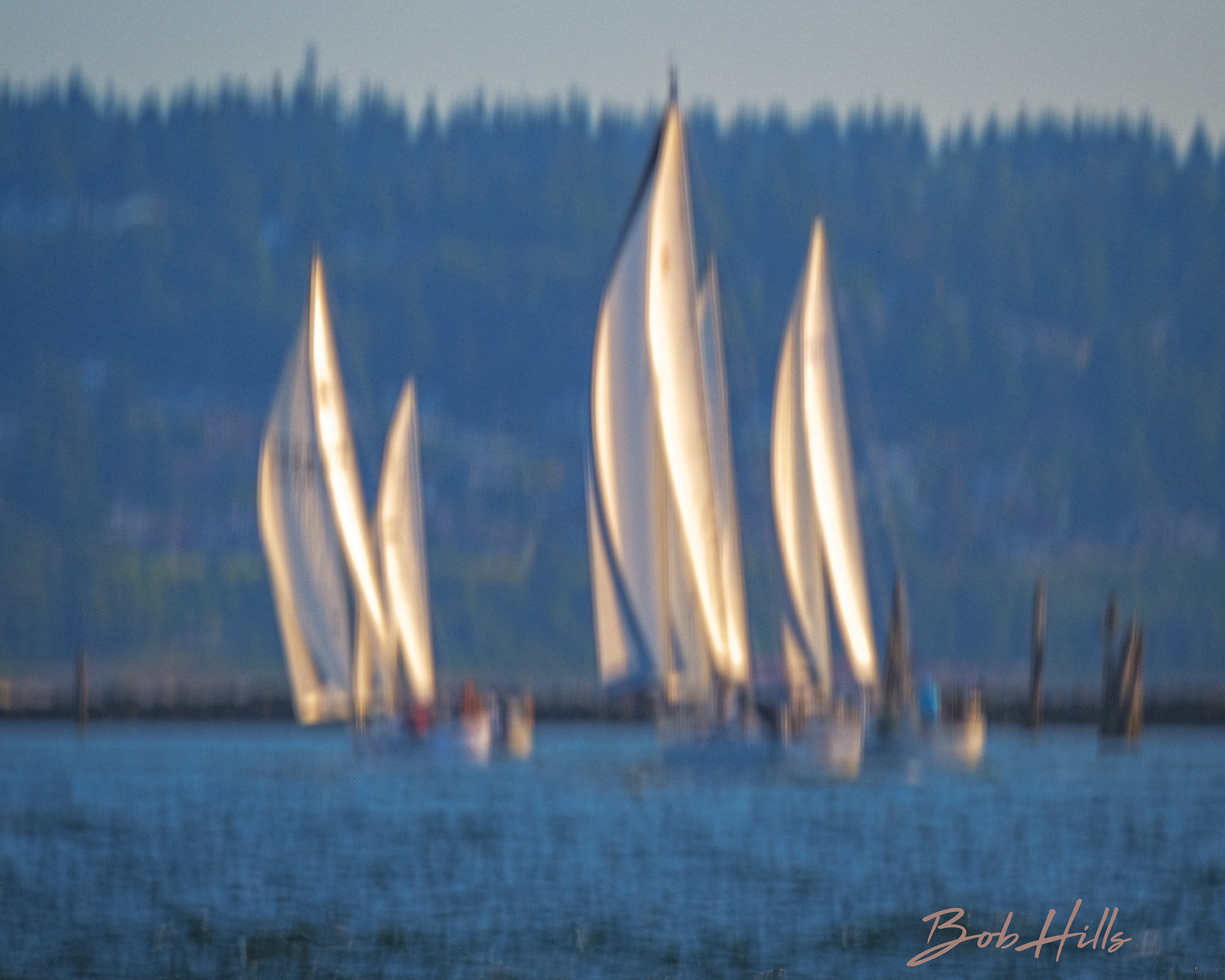 Regatta 6783