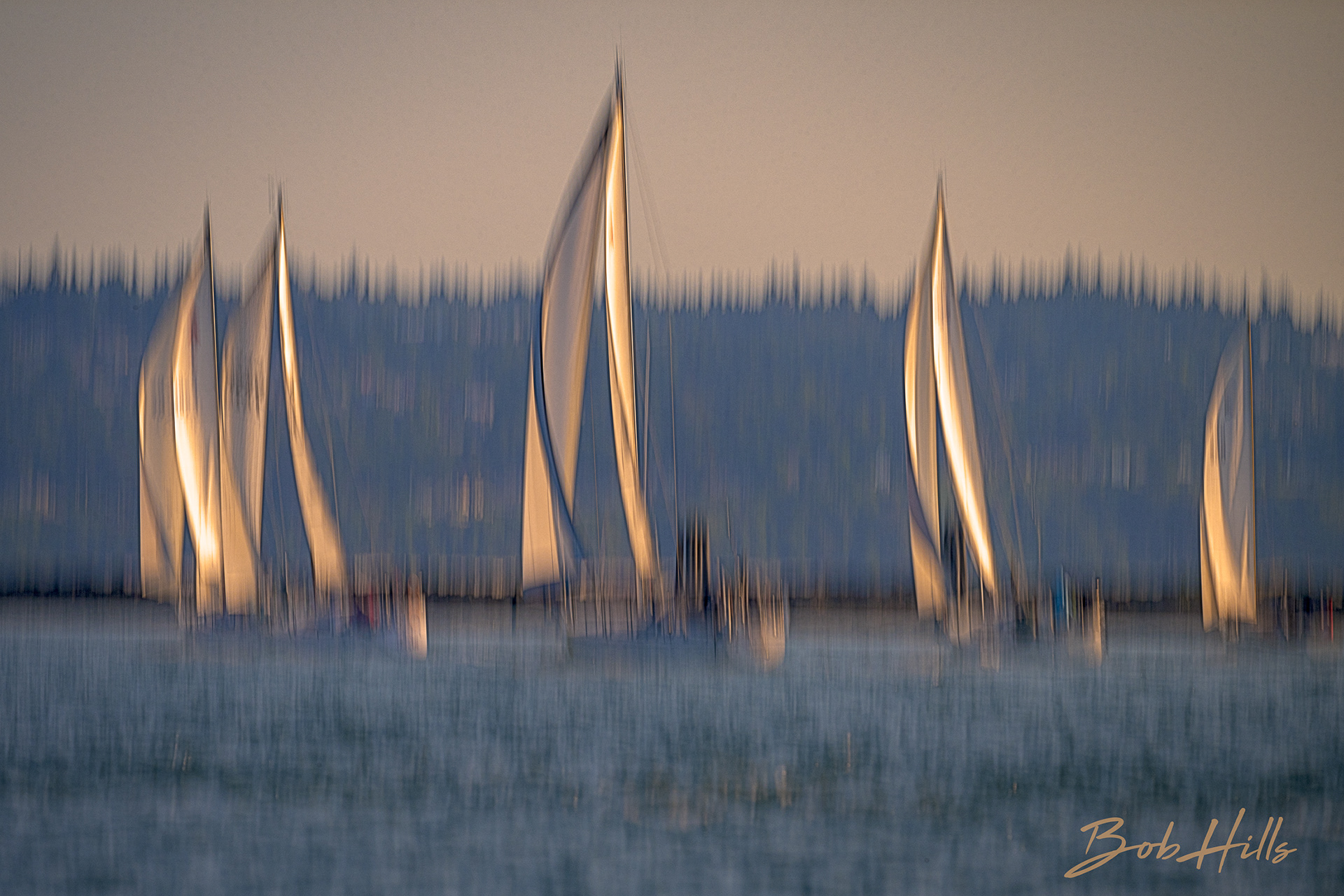 Regatta 6744