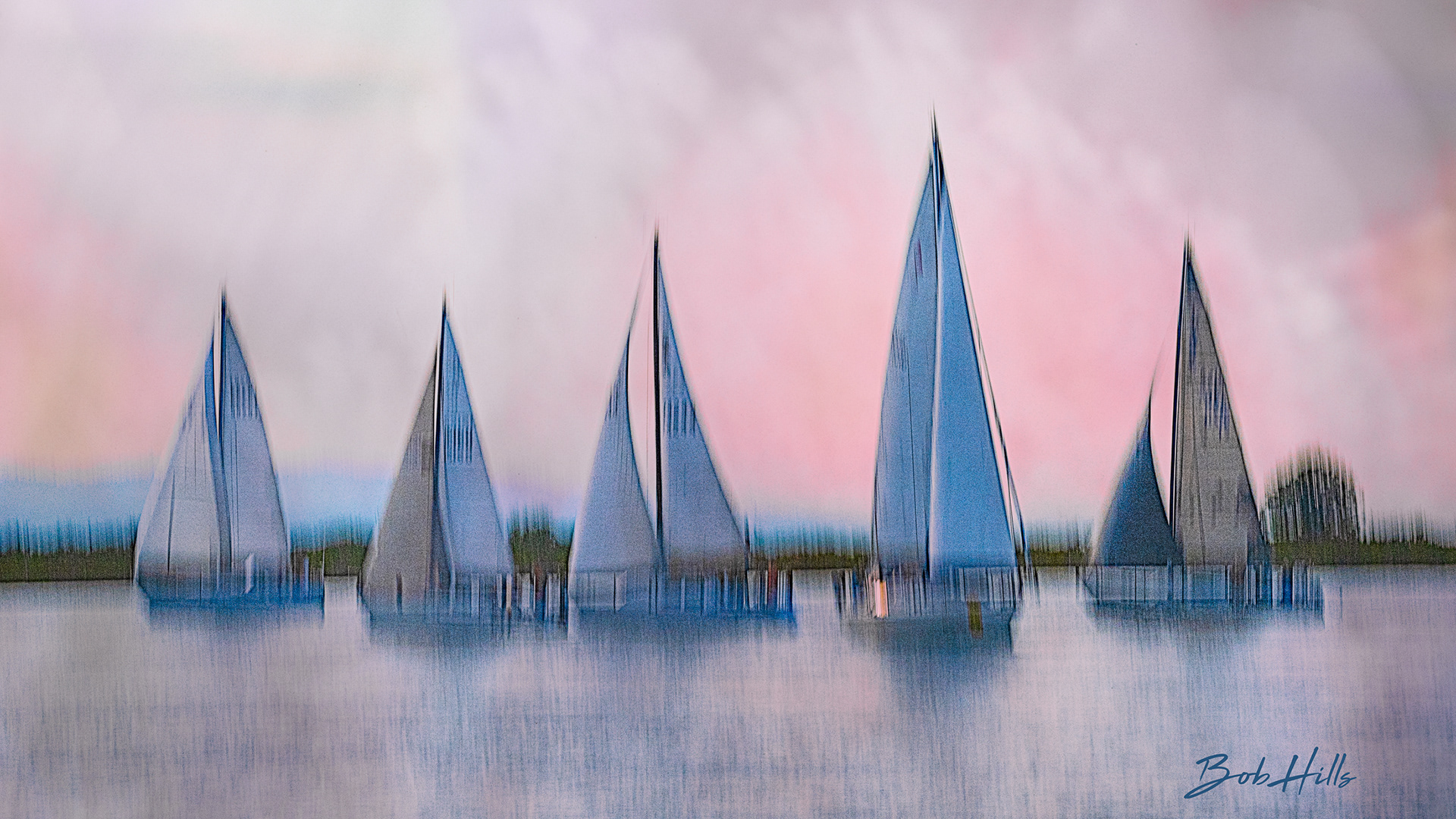 Regatta 1267