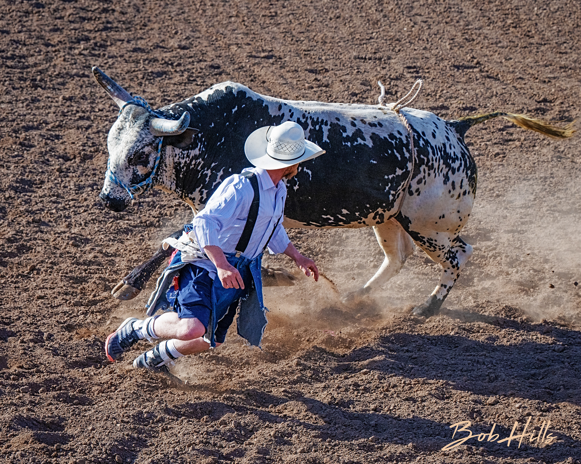 Rodeo - 27