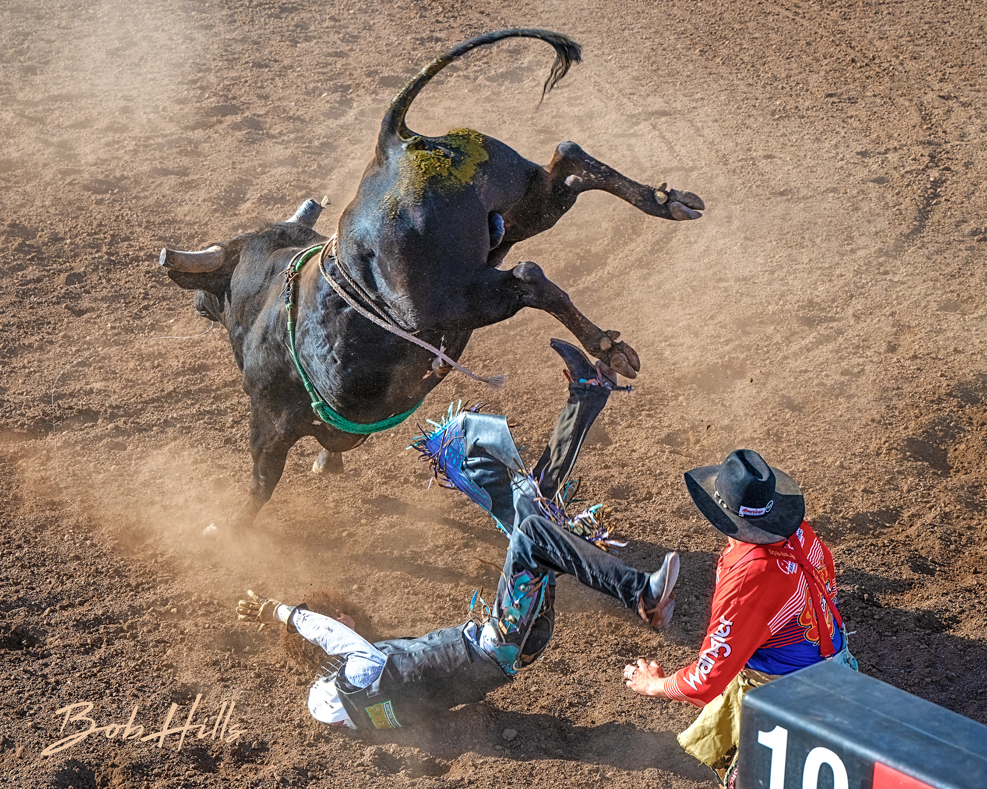 Rodeo - 24