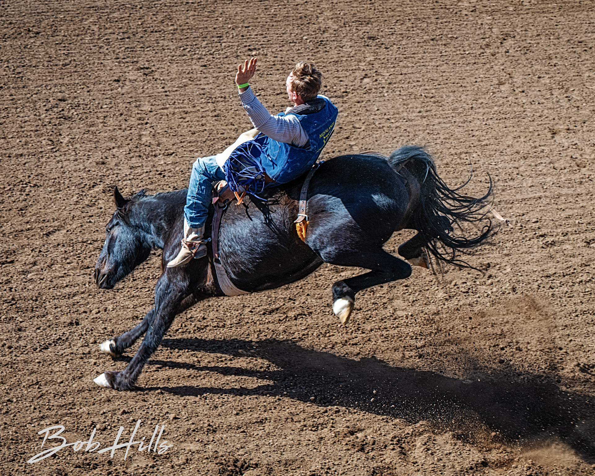 Rodeo - 8
