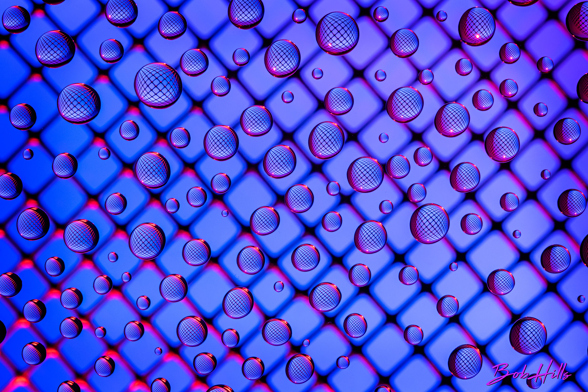 Red on Blue Grid