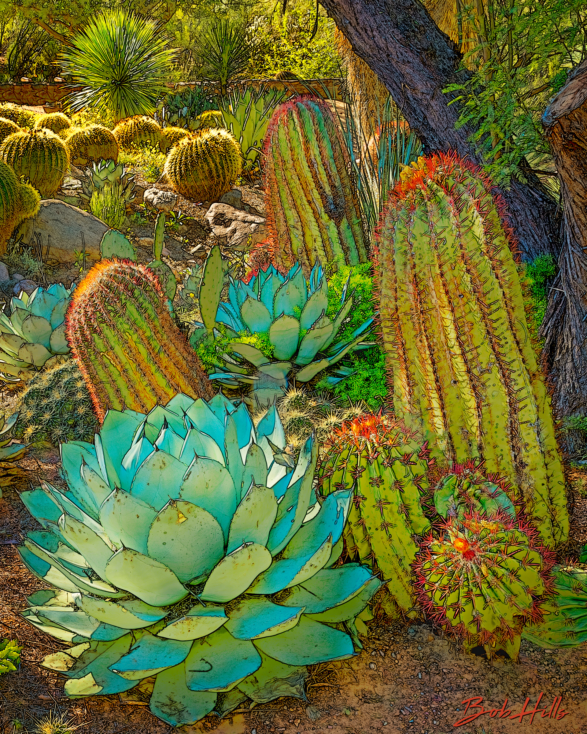 Sonoran Garden - 41