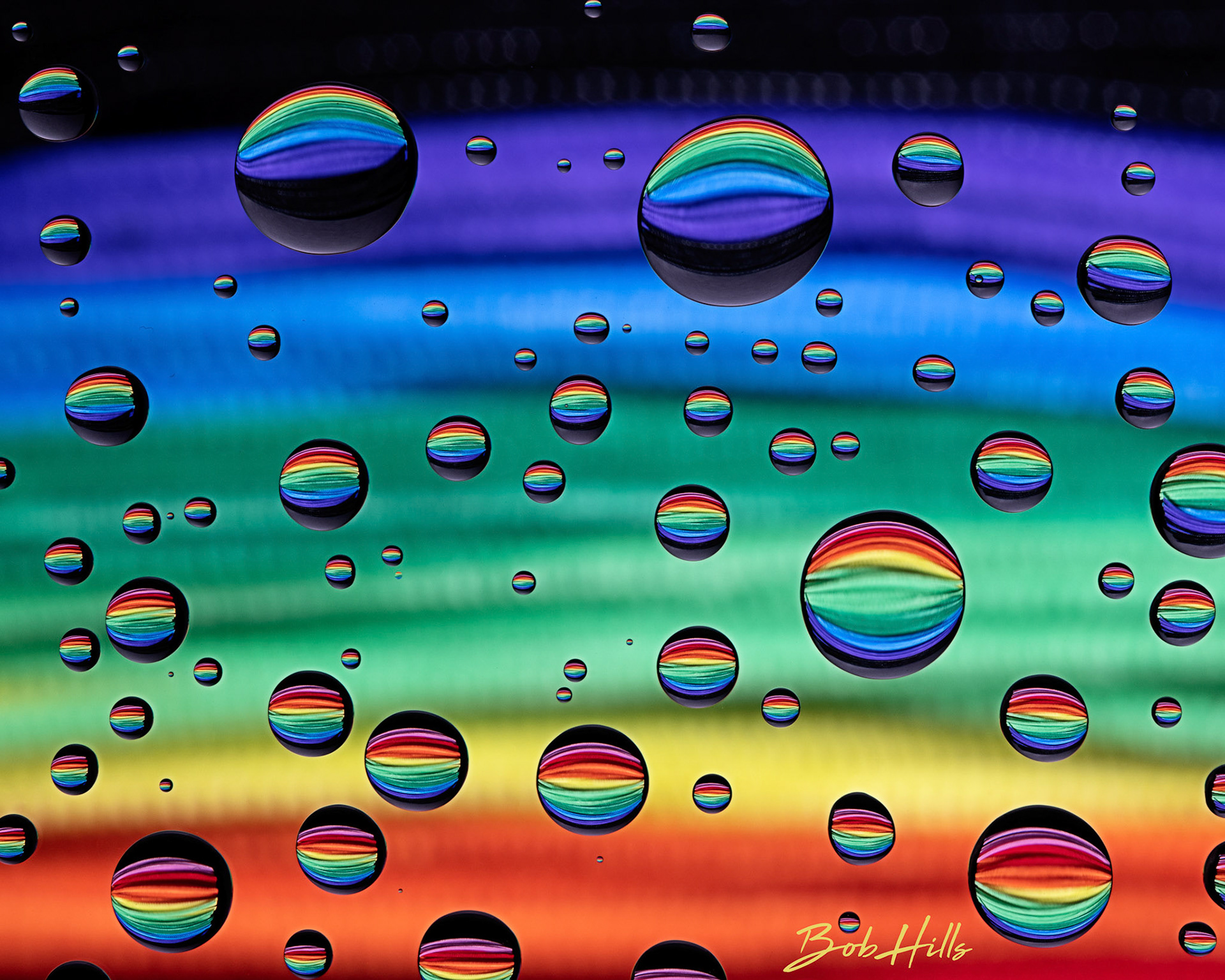 Pipe Cleaner Rainbow