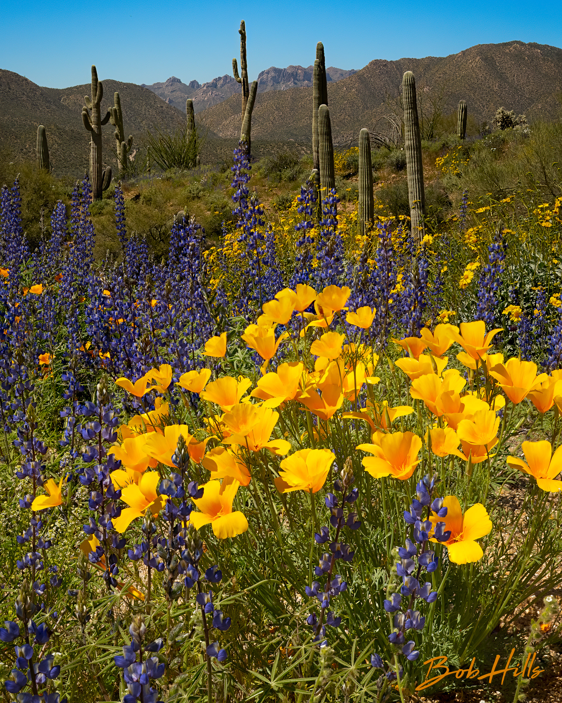 Along Flo-Kel Hwy No 3