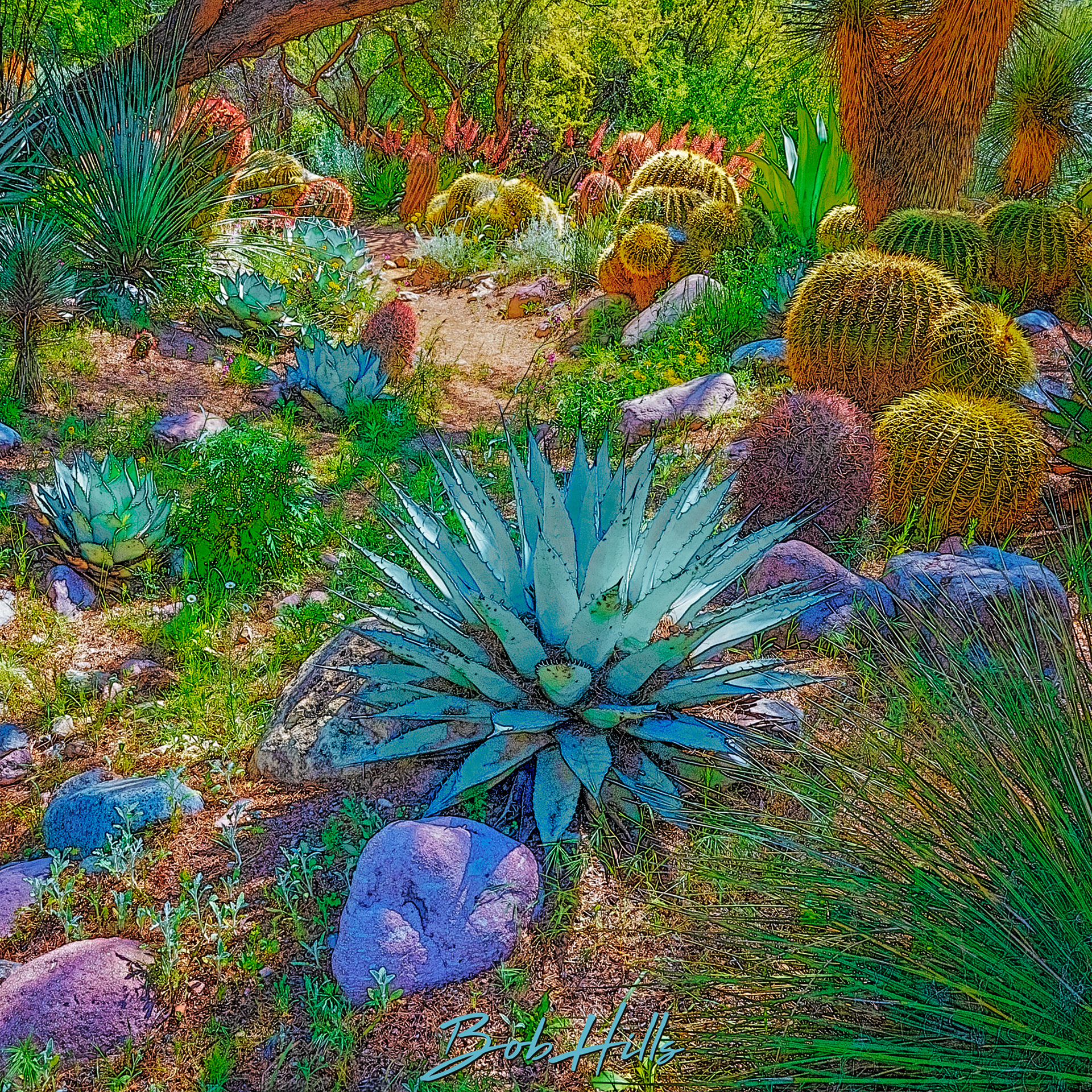 Sonoran Garden - 63 S