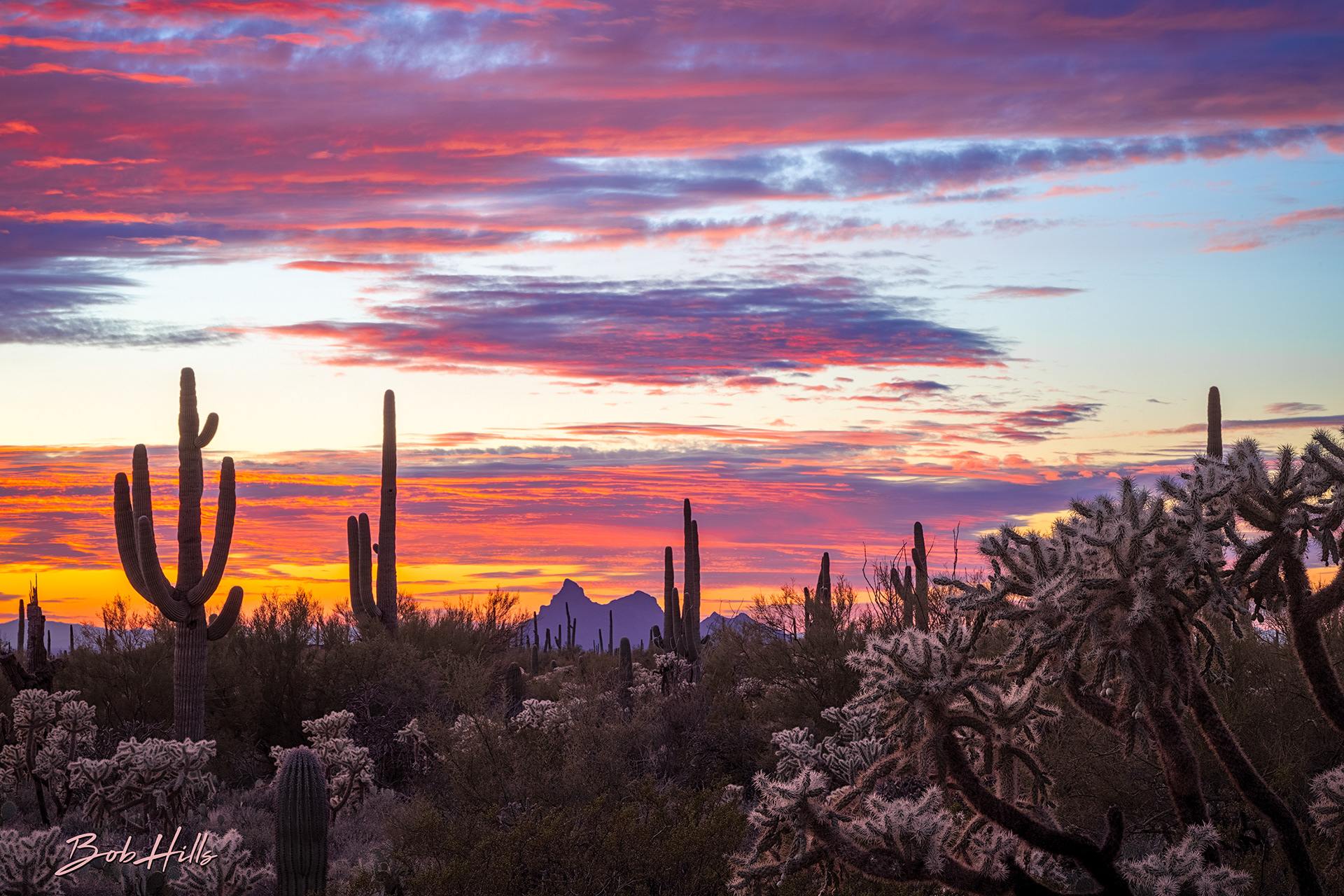 Sonoran Desert Sunset No 3