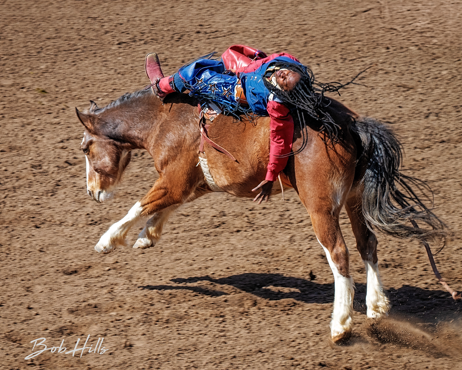 Rodeo - 11