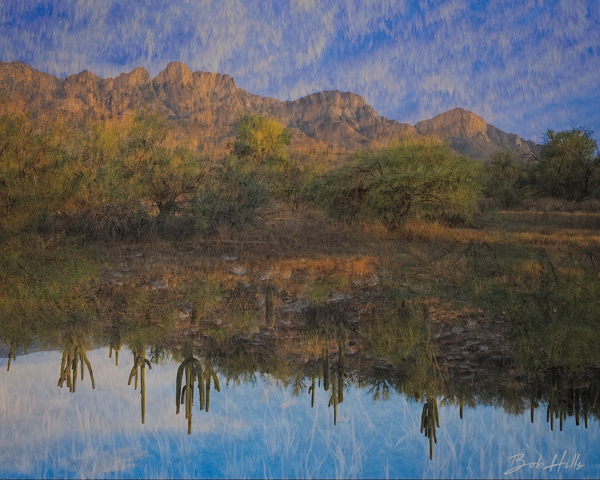 Desert Inversions 5466