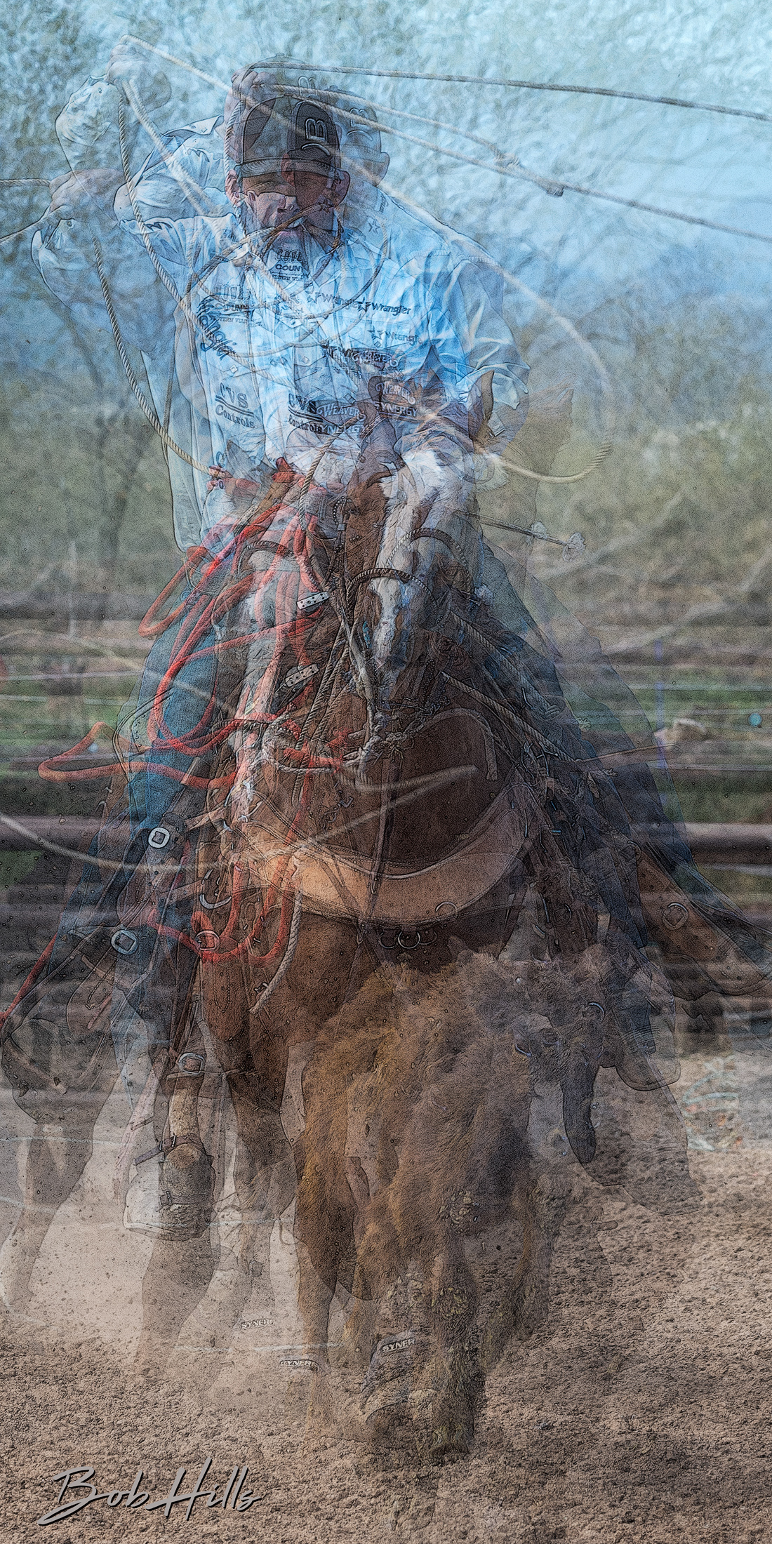 Kaleidoscopic Roper 1 