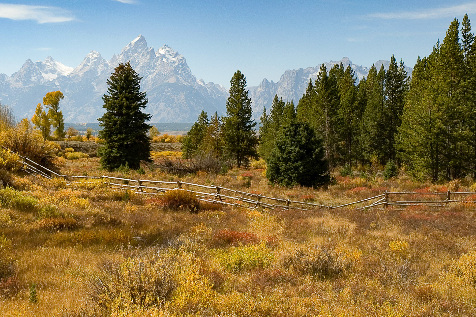 Teton Autumn