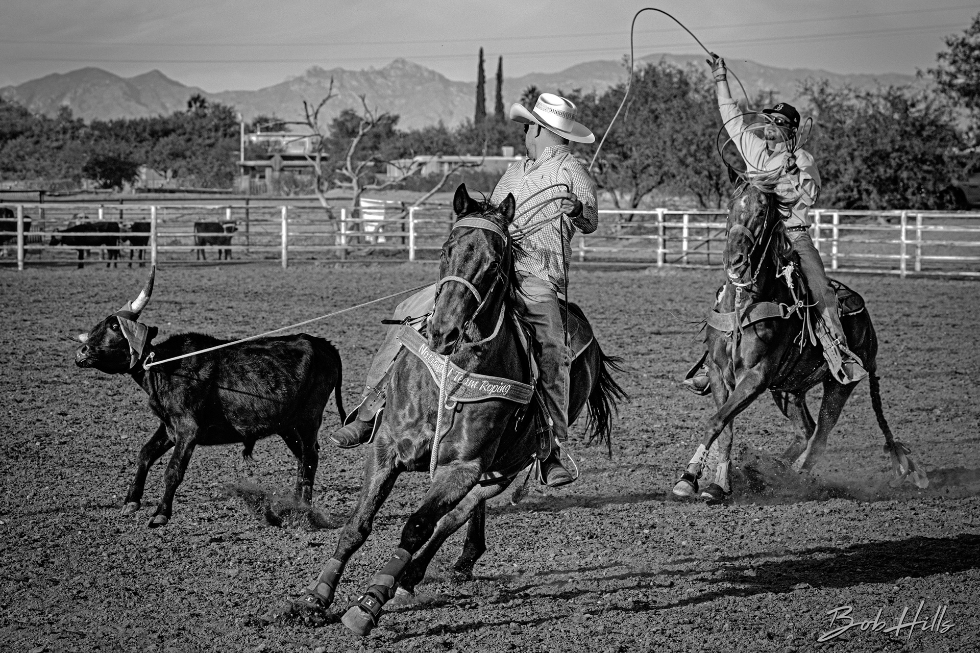 National Team Roping