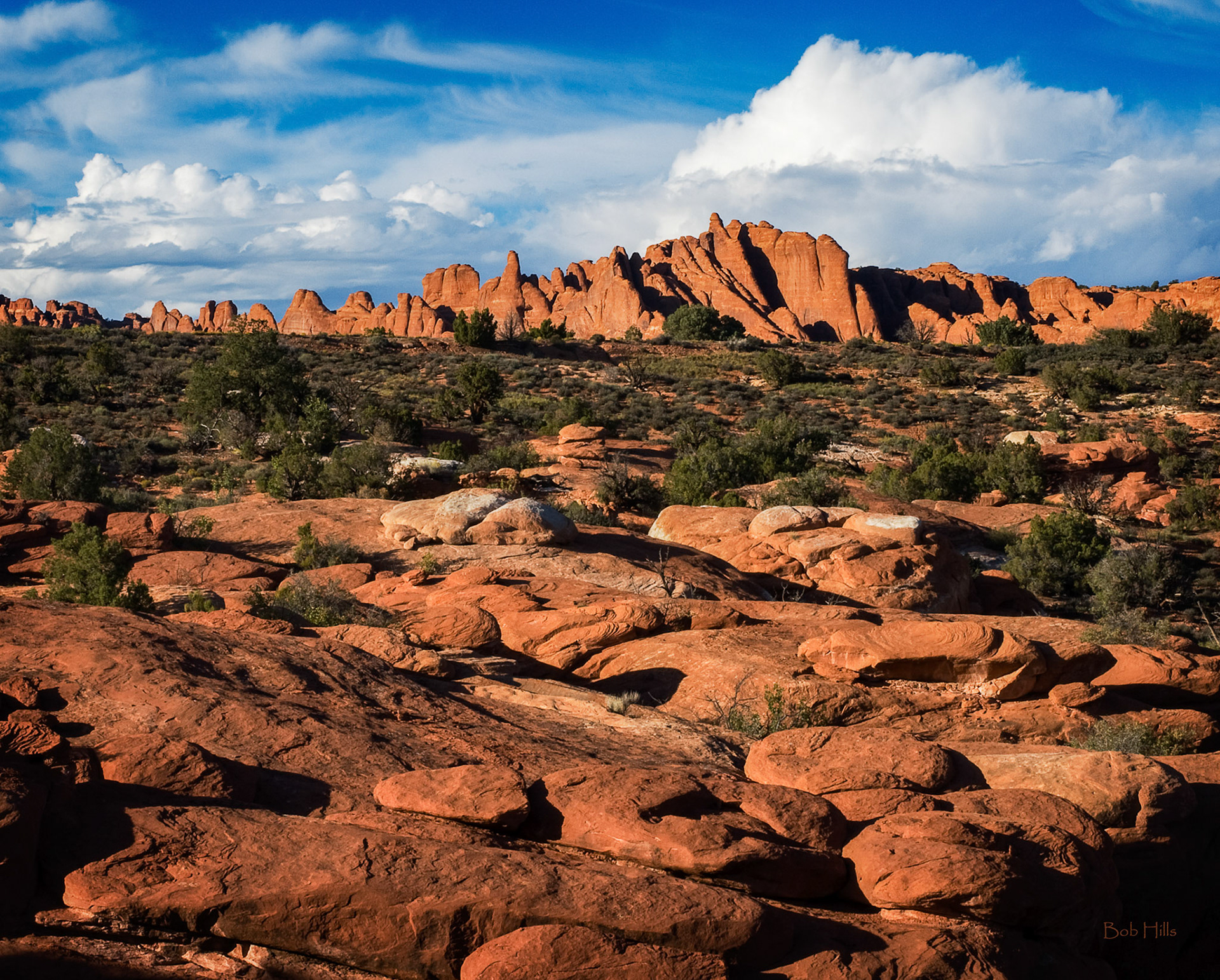 Devils Garden I