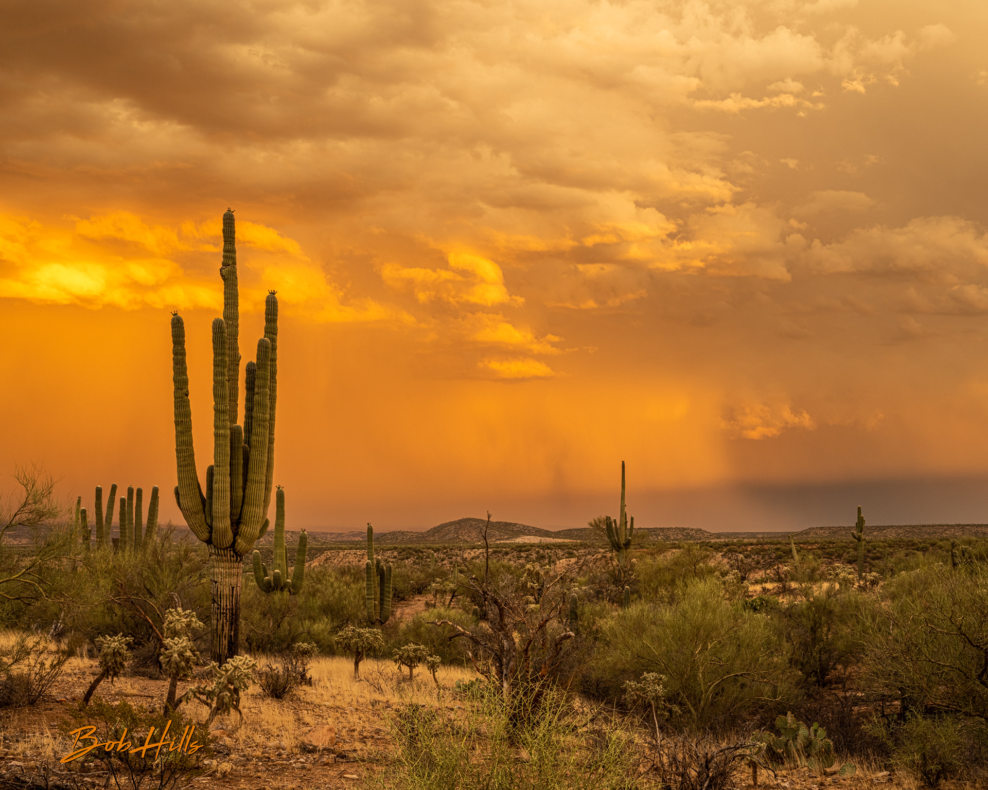 San Manuel Sunset Storm