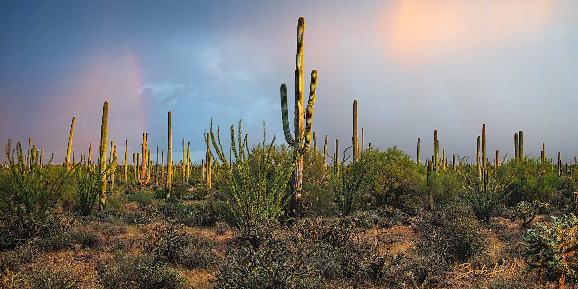 Peace Before the Storm