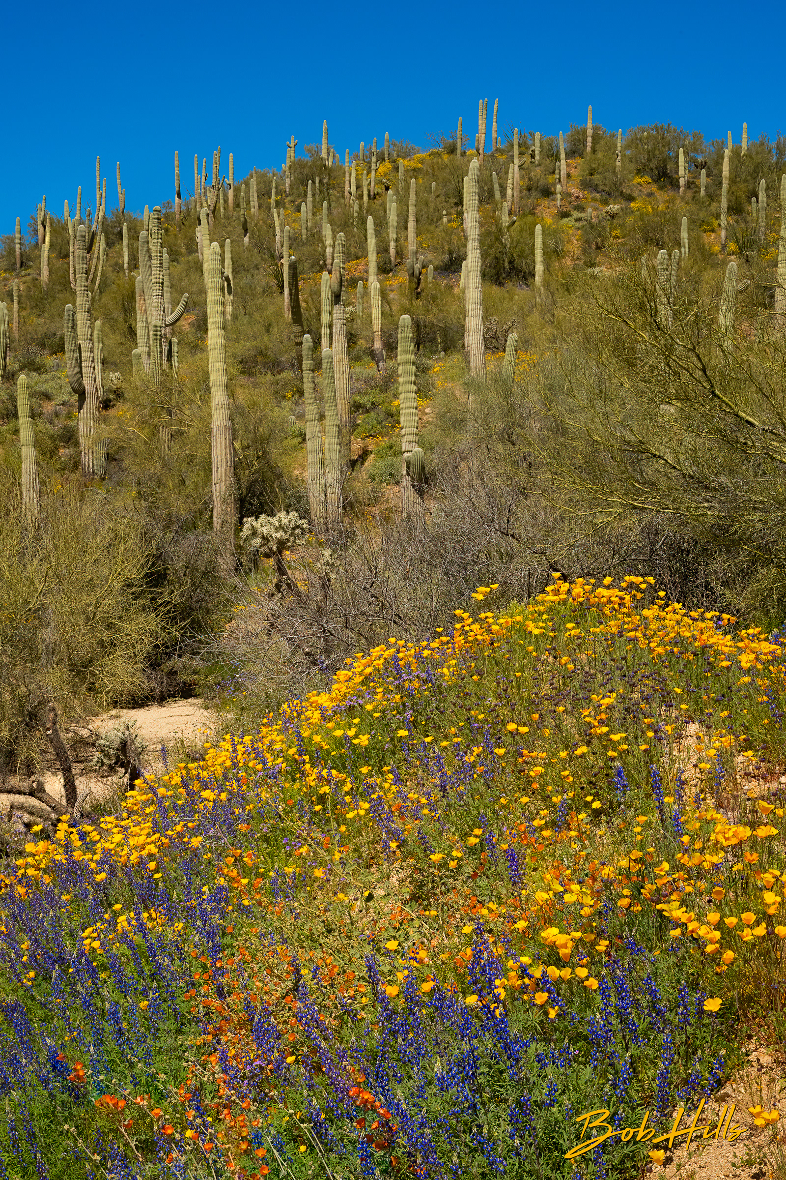 Along Flo-Kel Hwy No 2