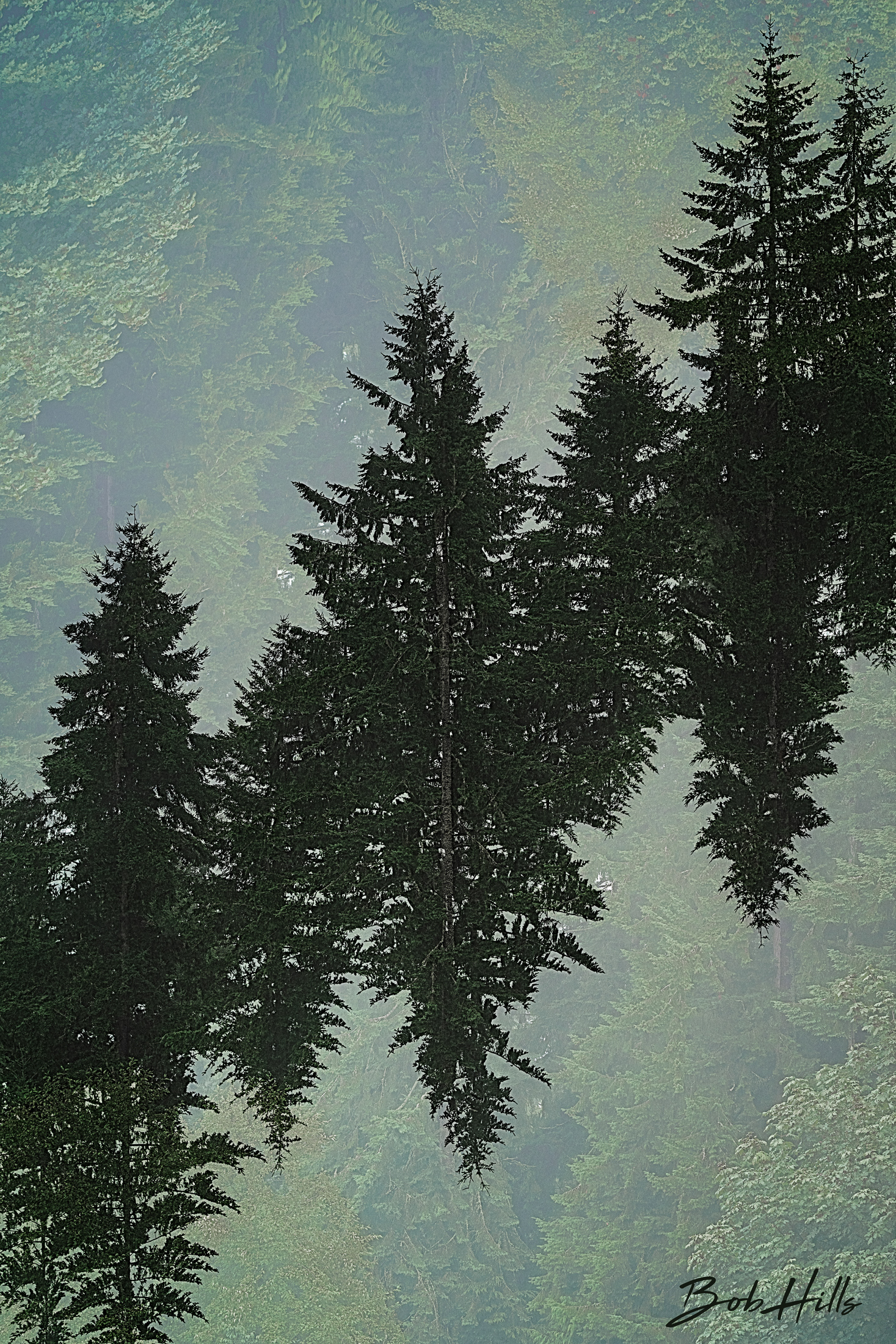 Froest Intersection 3259