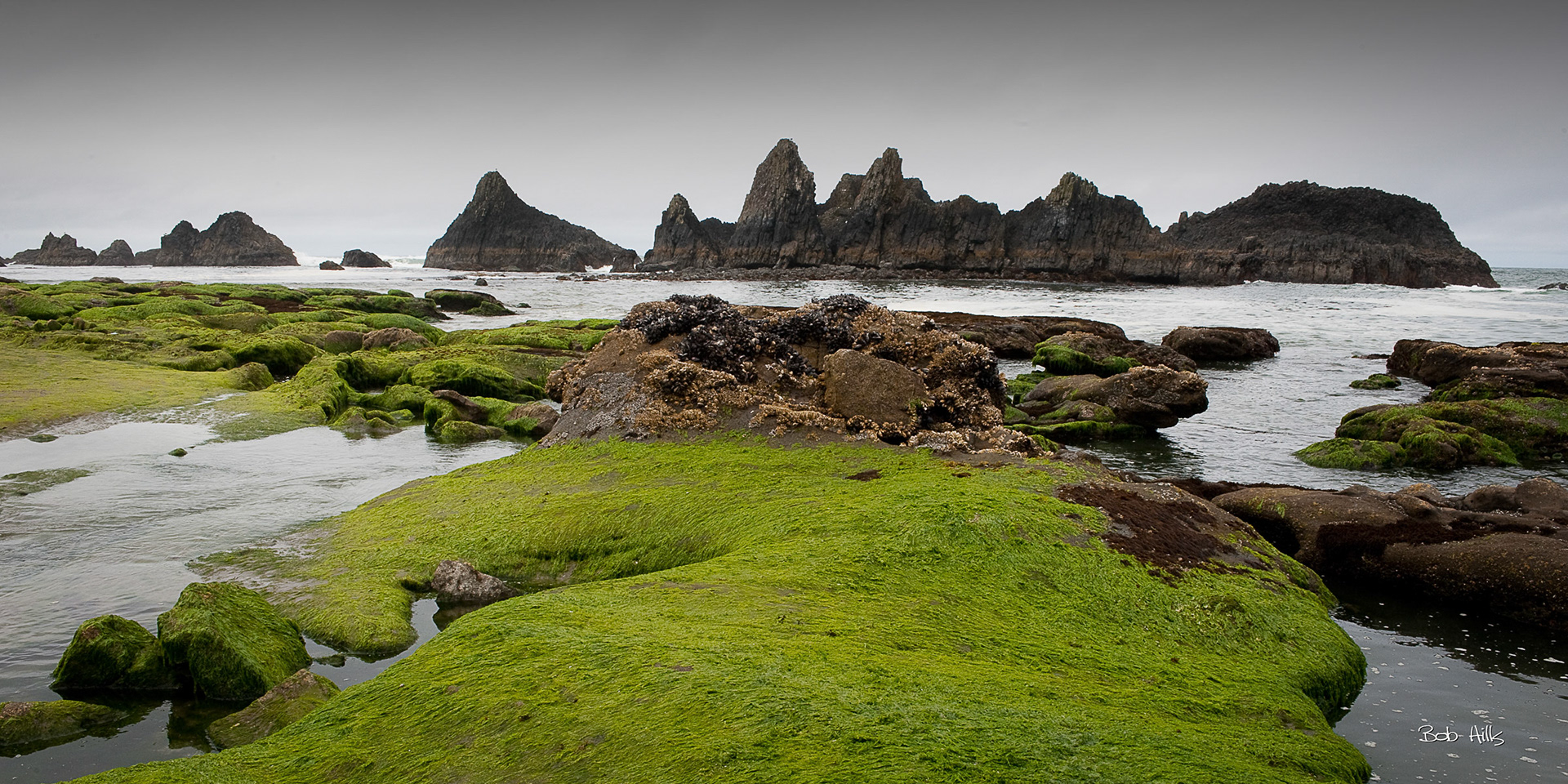 Seal Rock 5