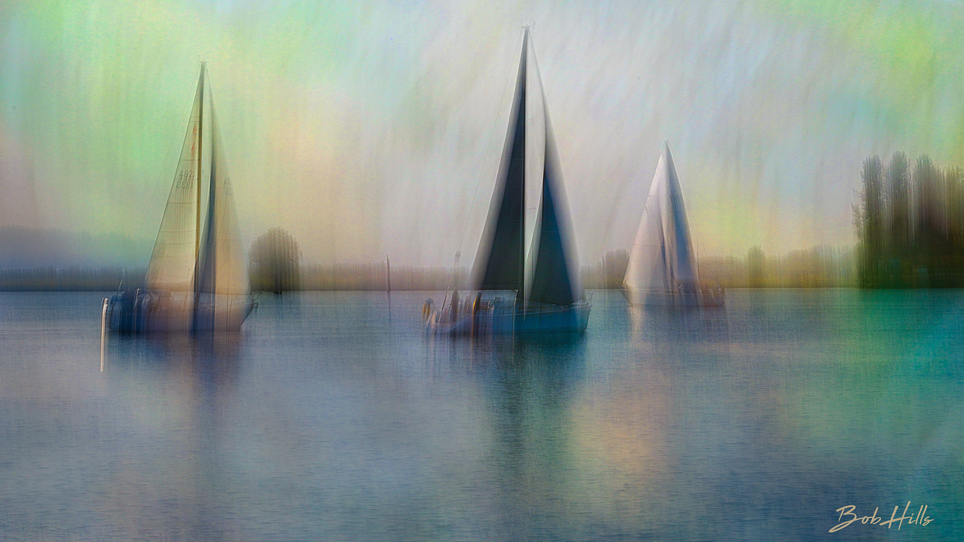 Regatta 1119