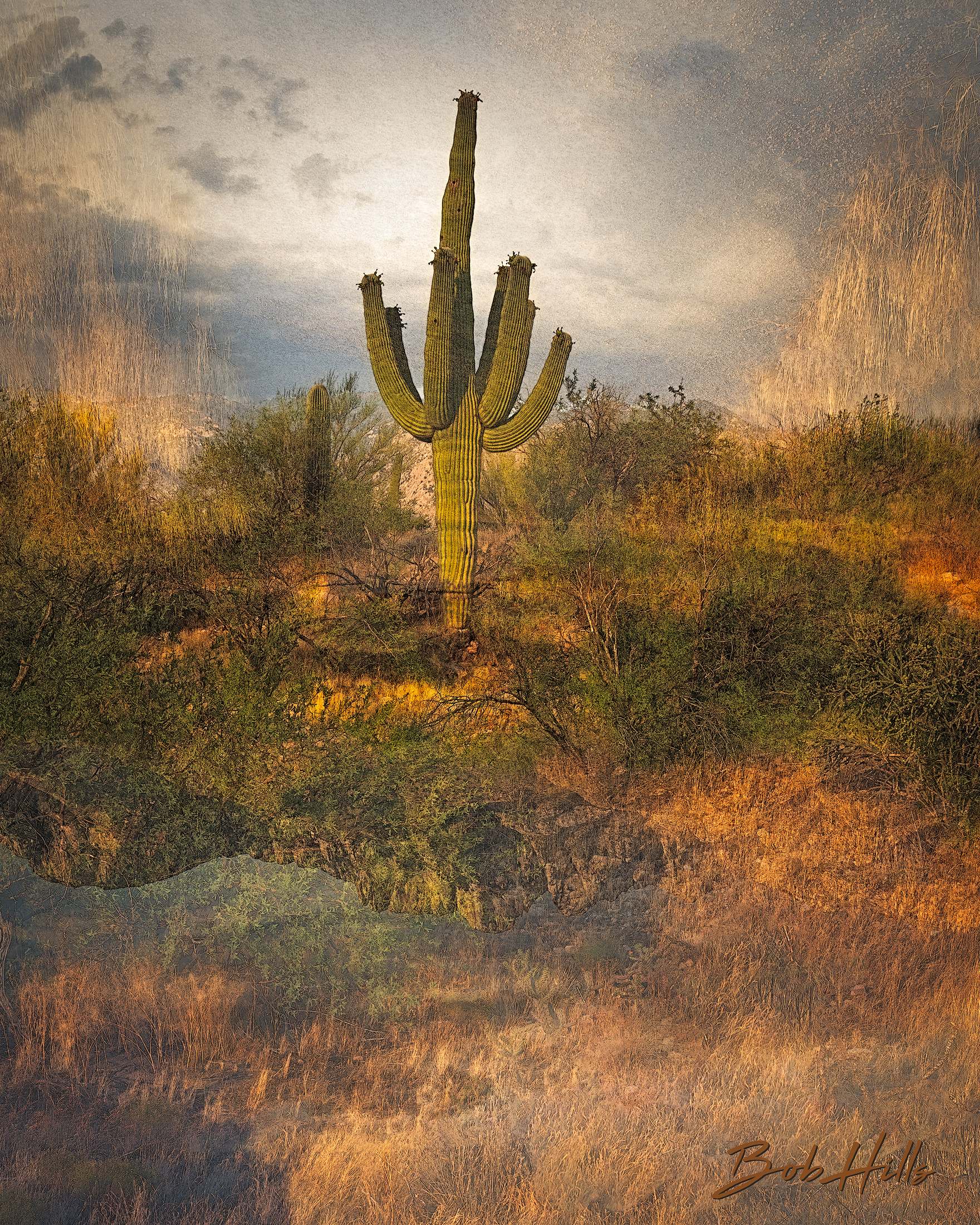 Desert Inversions 5496