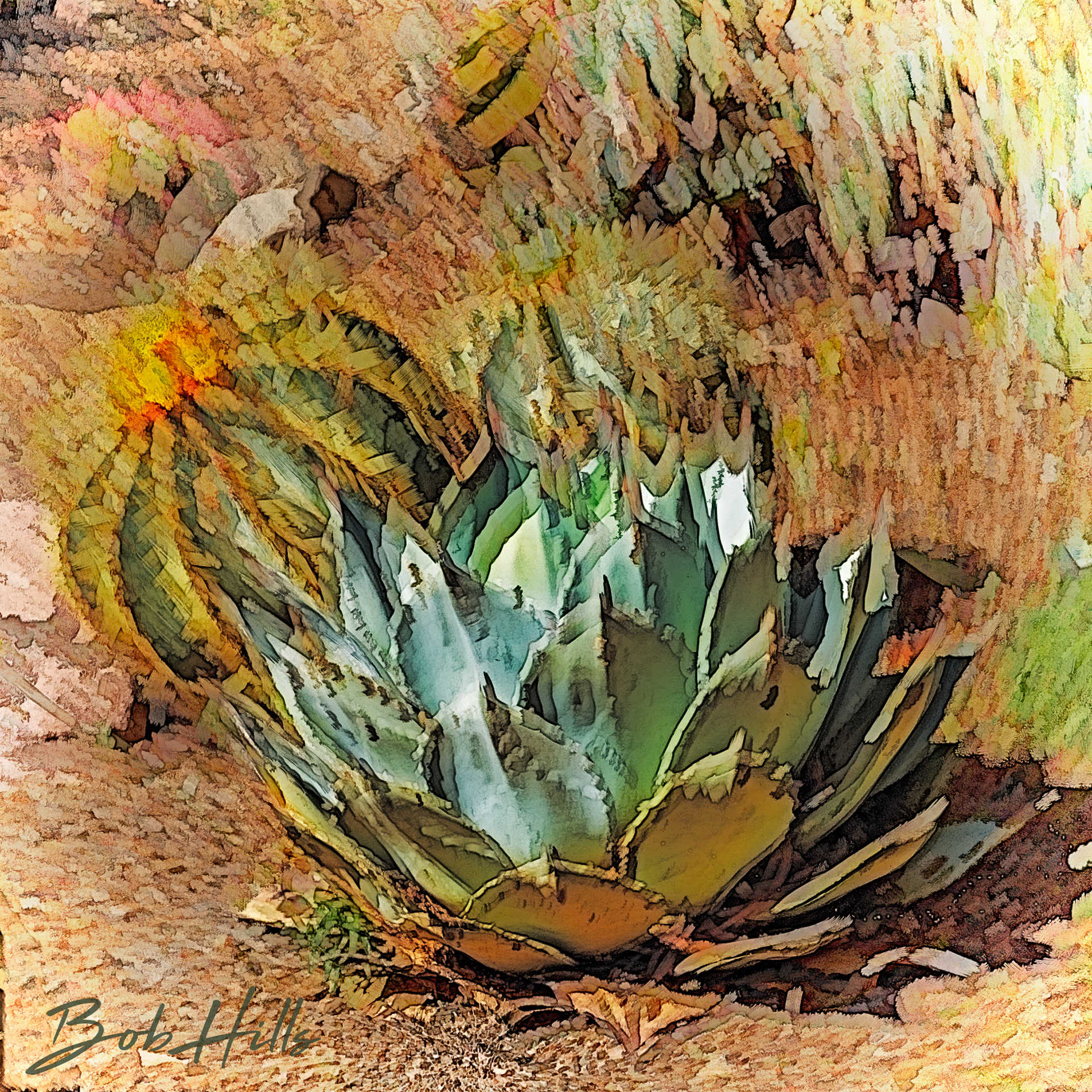 Agave and Barrel