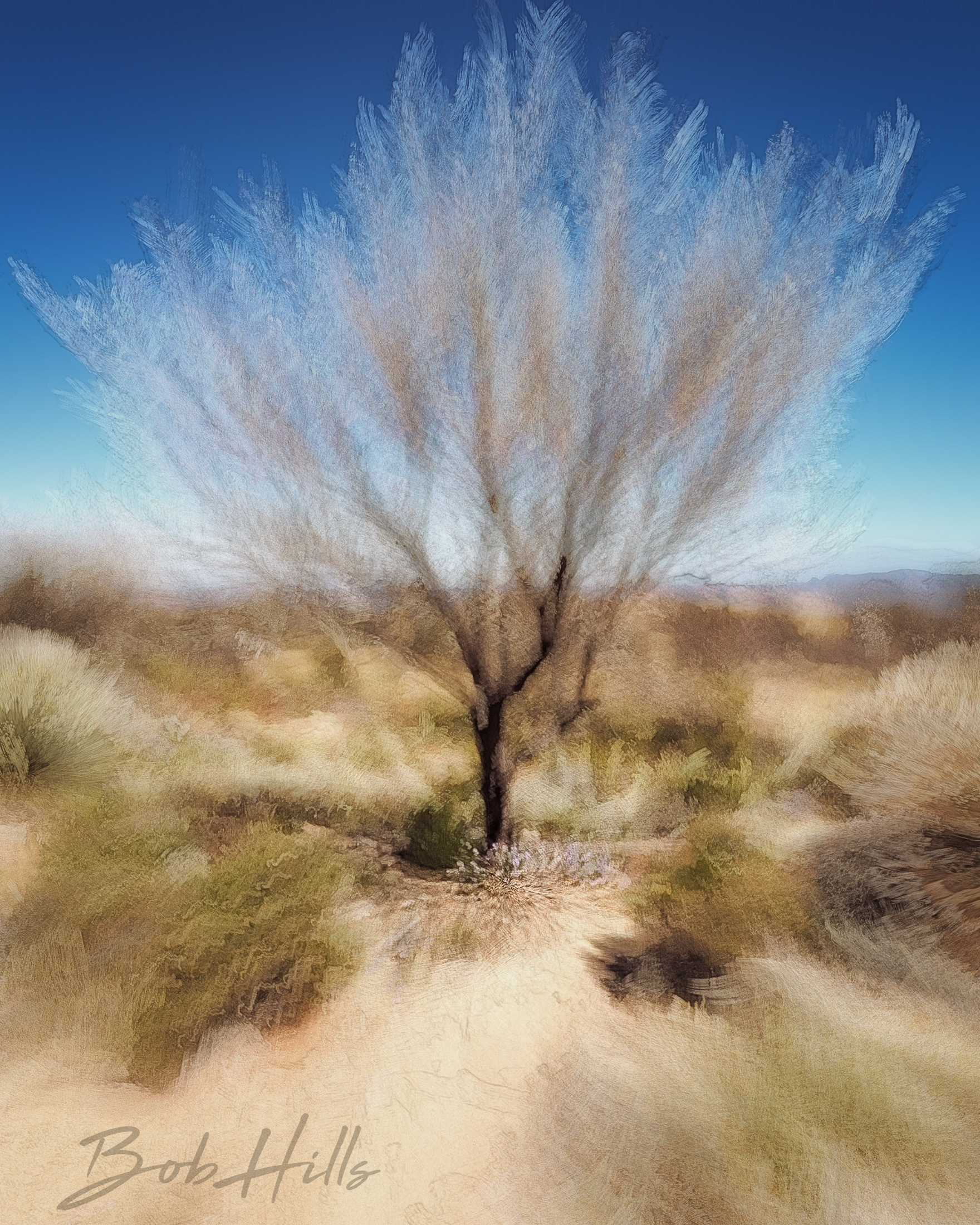 Isolate Tree Pathside