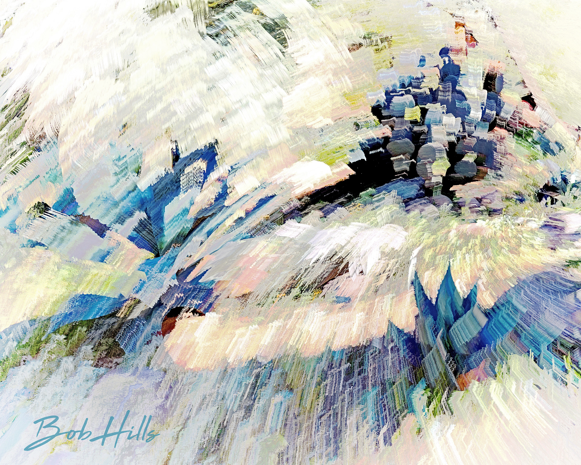 Swirl of Desert Plants