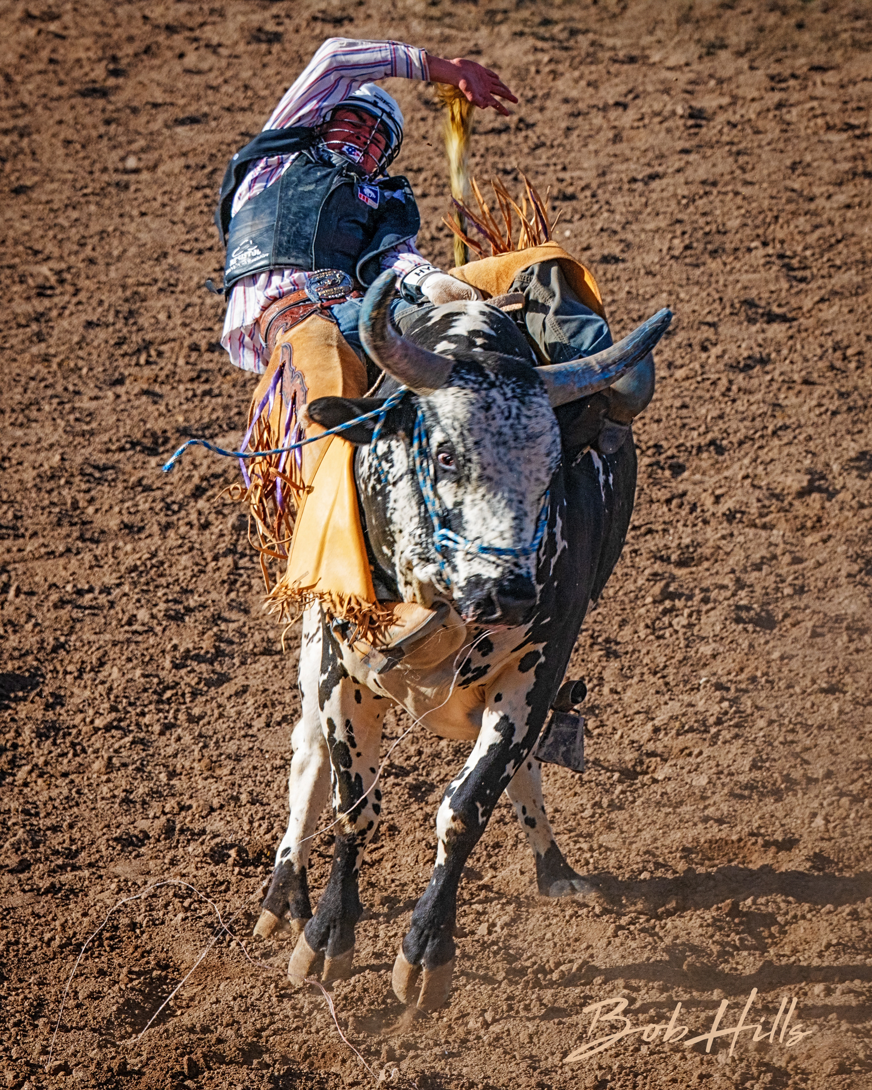 Rodeo - 26