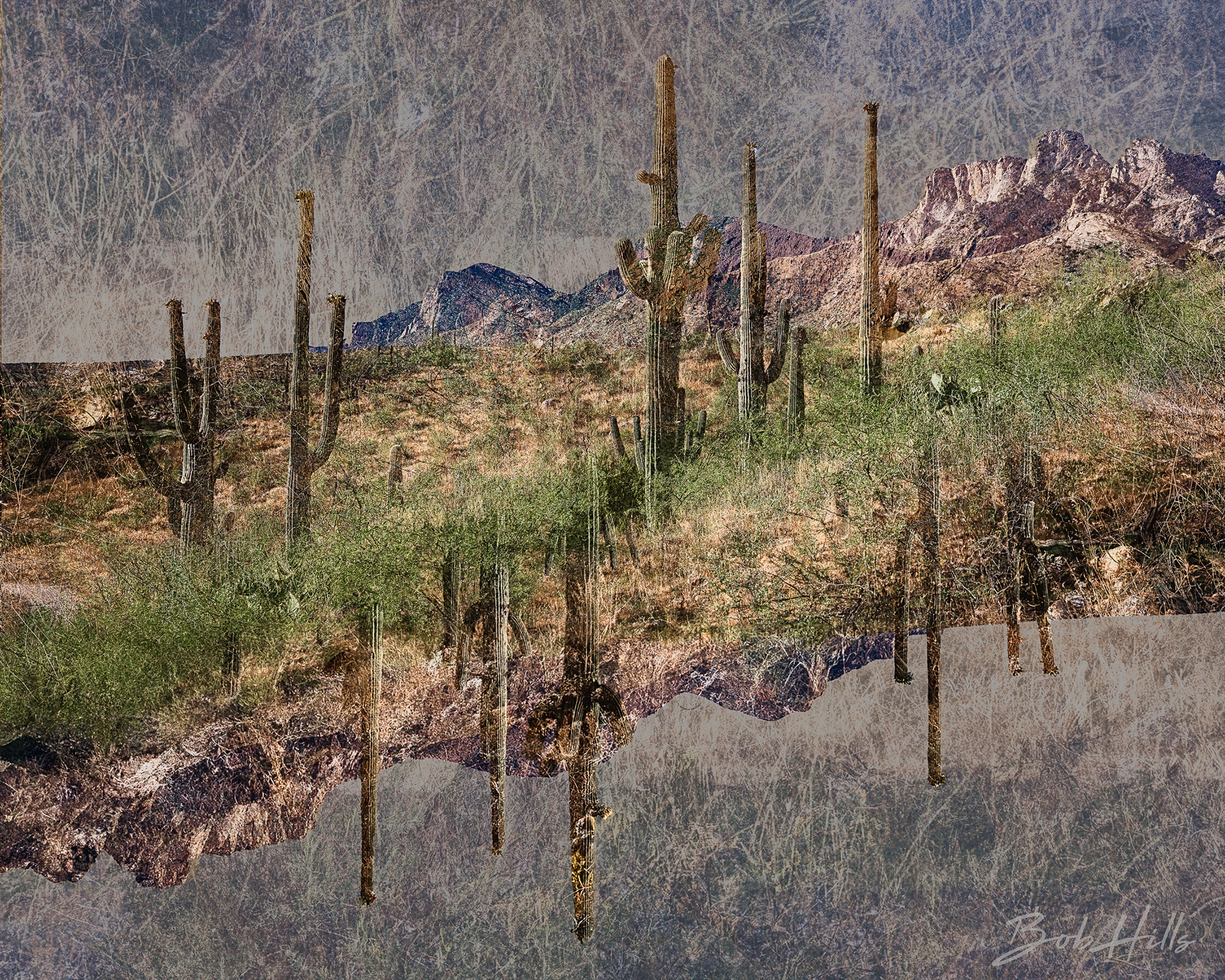 Desert Inversion ME 5403